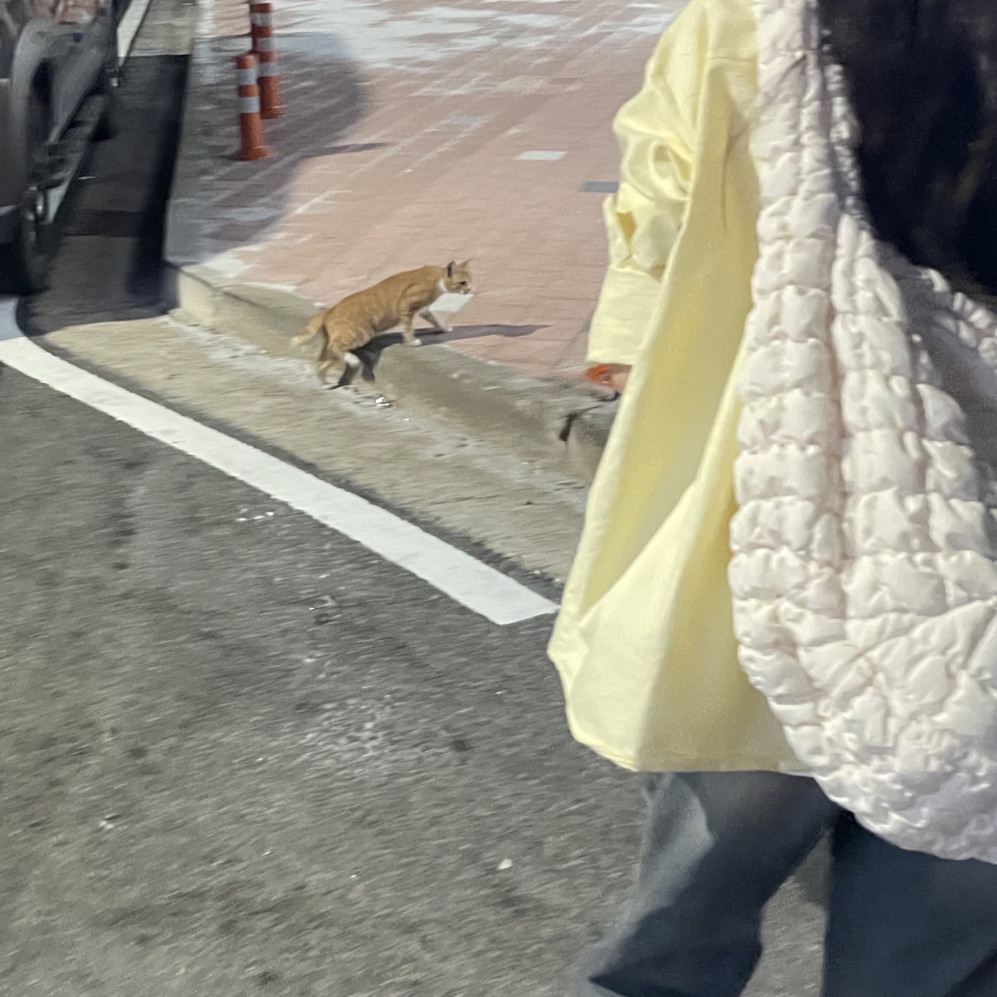 COS Quilted Oversized Shoulder Bag Off White Light Beige 착용 스타일