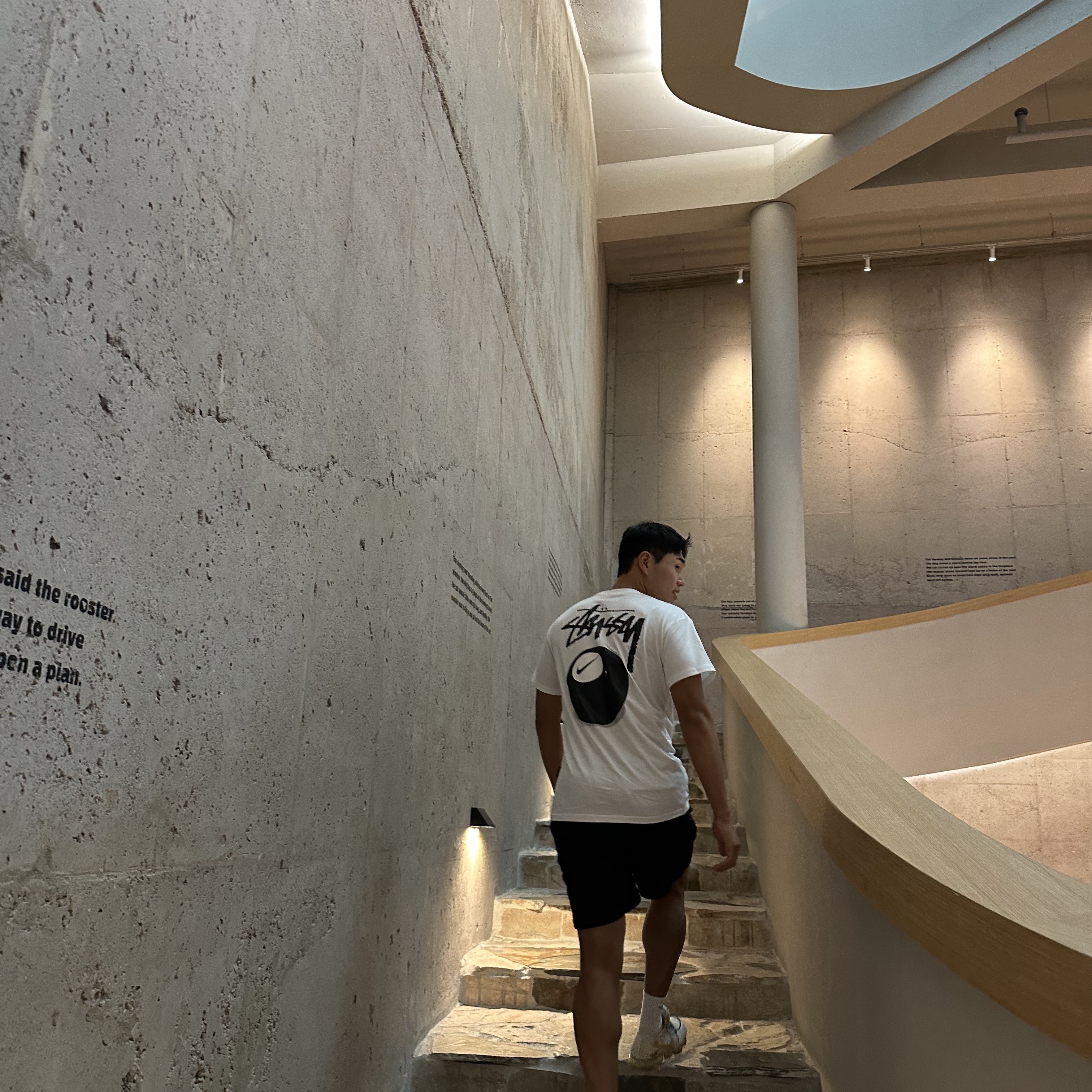 Nike x Stussy NRG FL SS 8 Ball T-Shirt White (DO9322-100), Stussy Stock Water Shorts Black 착용 스타일 - 1
