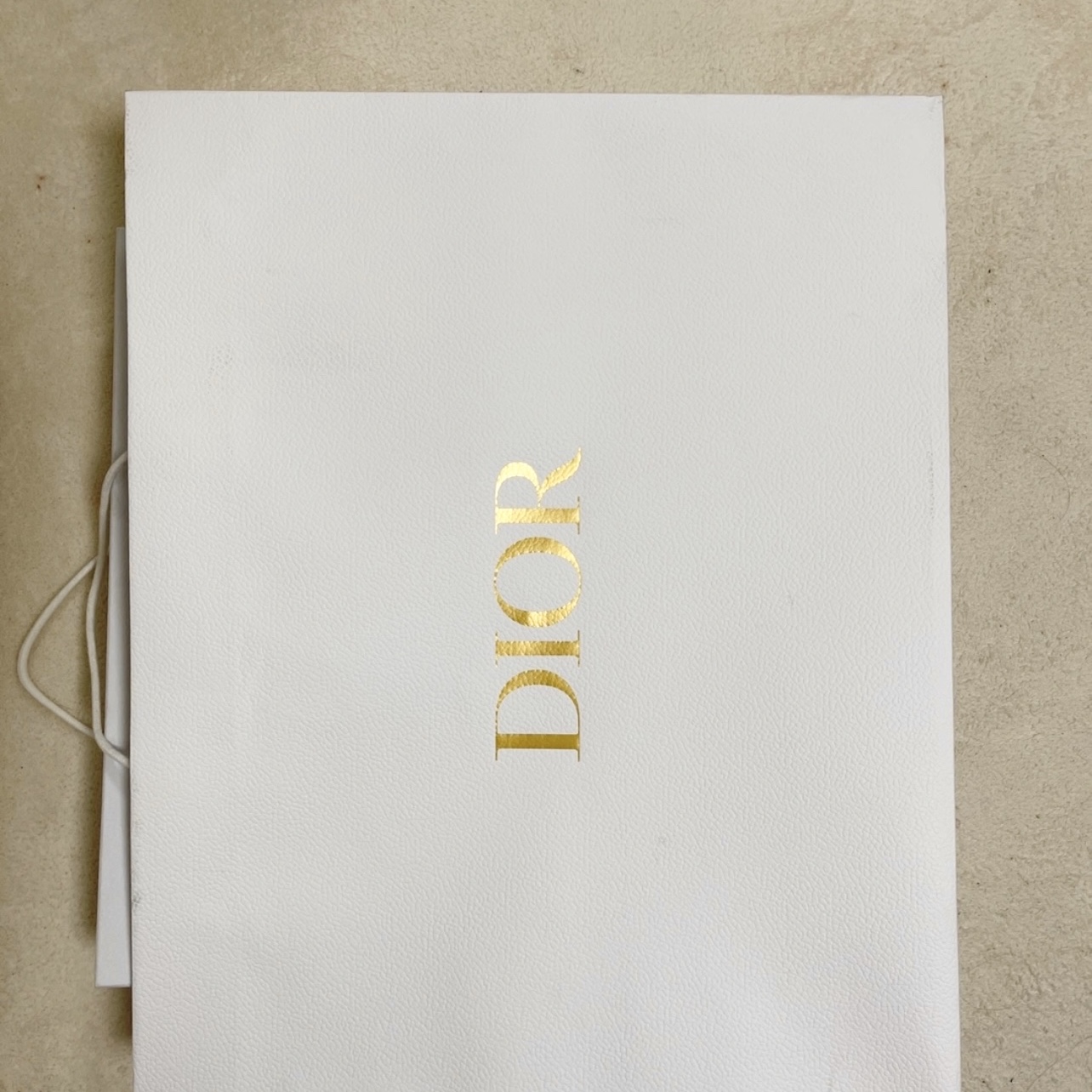 Dior Medium Dior Book Tote Beige Multicolor Mizza Embroidery 착용 스타일 - 3