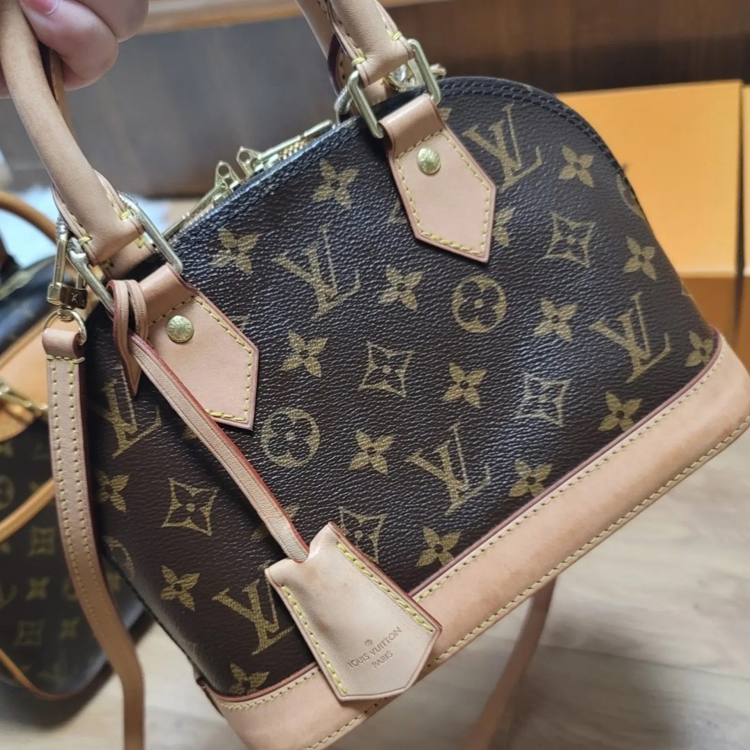 Louis Vuitton Alma BB Monogram 착용 스타일 - 3