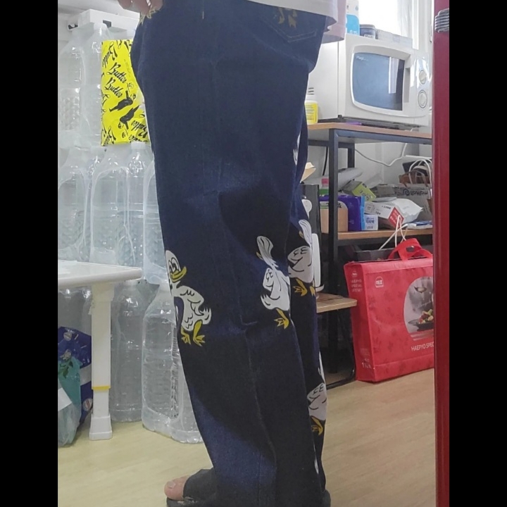 Palace Ducks Baggies Jean Stone Wash - 22FW 착용 스타일