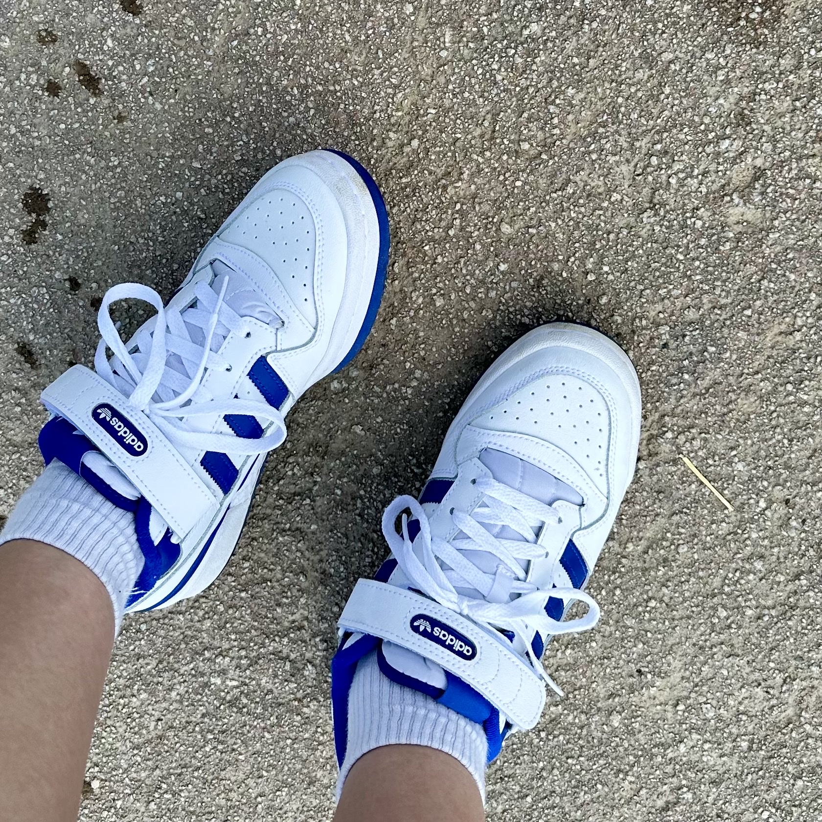 Adidas Forum Low White Royal Blue 착용 스타일