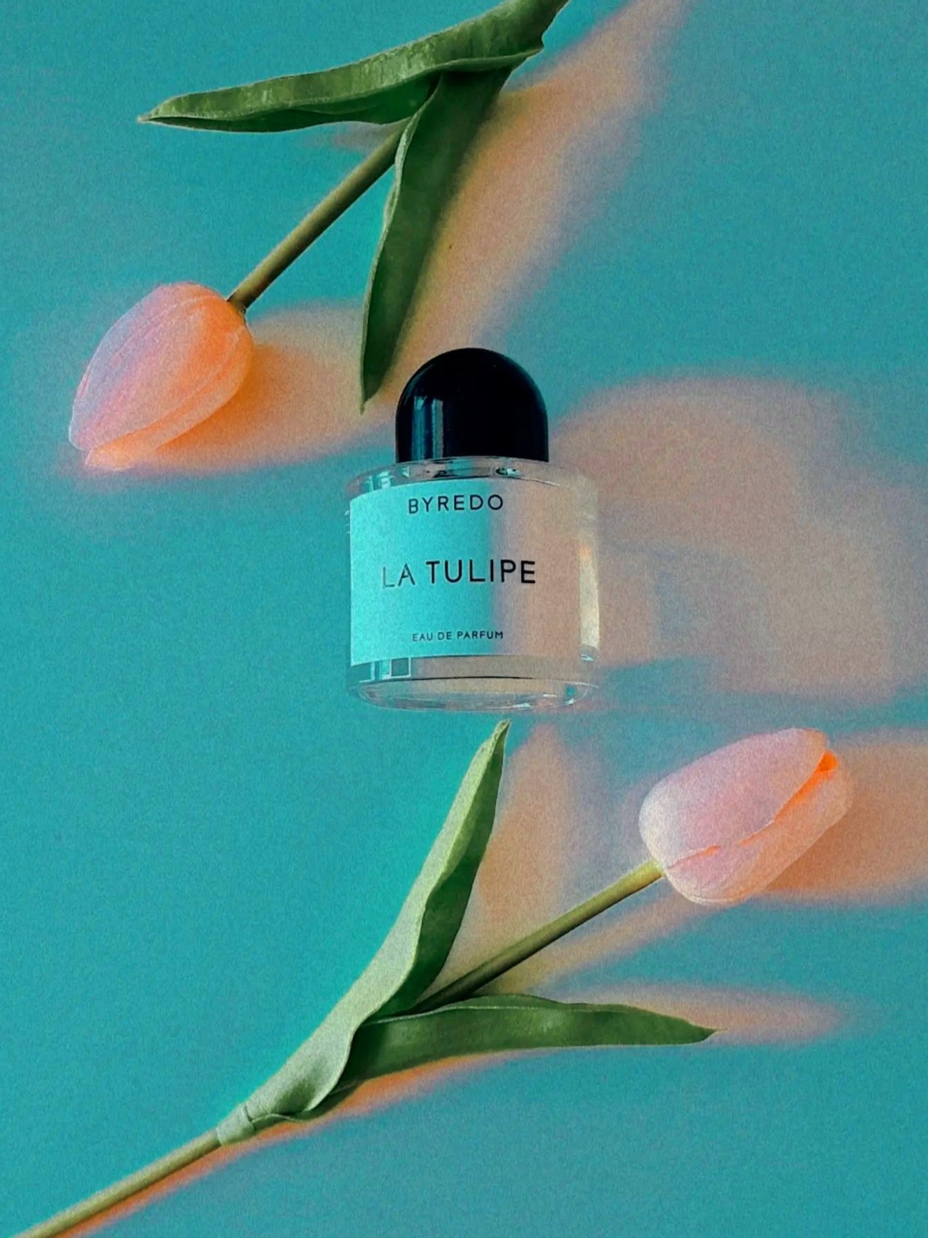 Byredo La Tulipe Eau De Parfum 50ml 착용 스타일