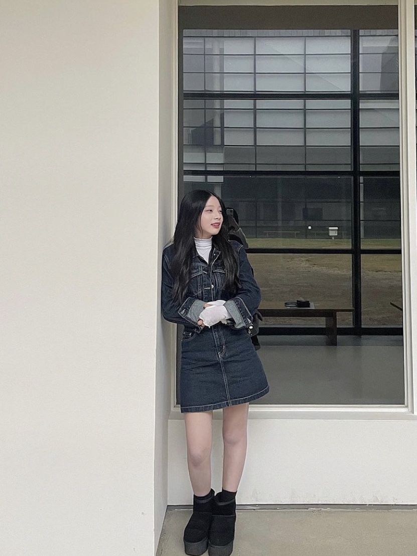 (W) UGG Classic Mini Platform Boots Black, (W) UGG Classic Mini Platform Boots Chestnut 착용 스타일