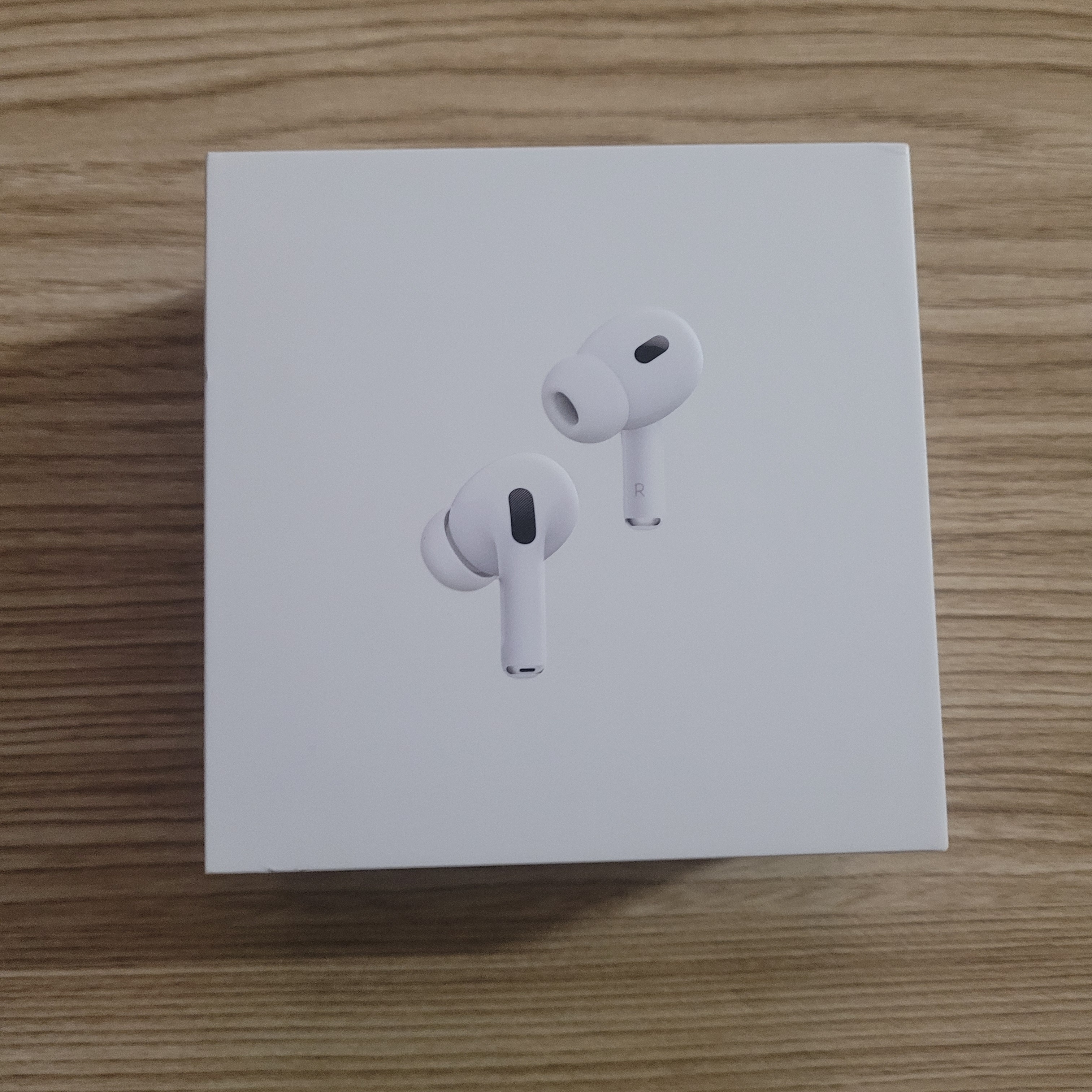 Apple AirPods Pro 2nd Gen (Korean Ver.) 착용 스타일