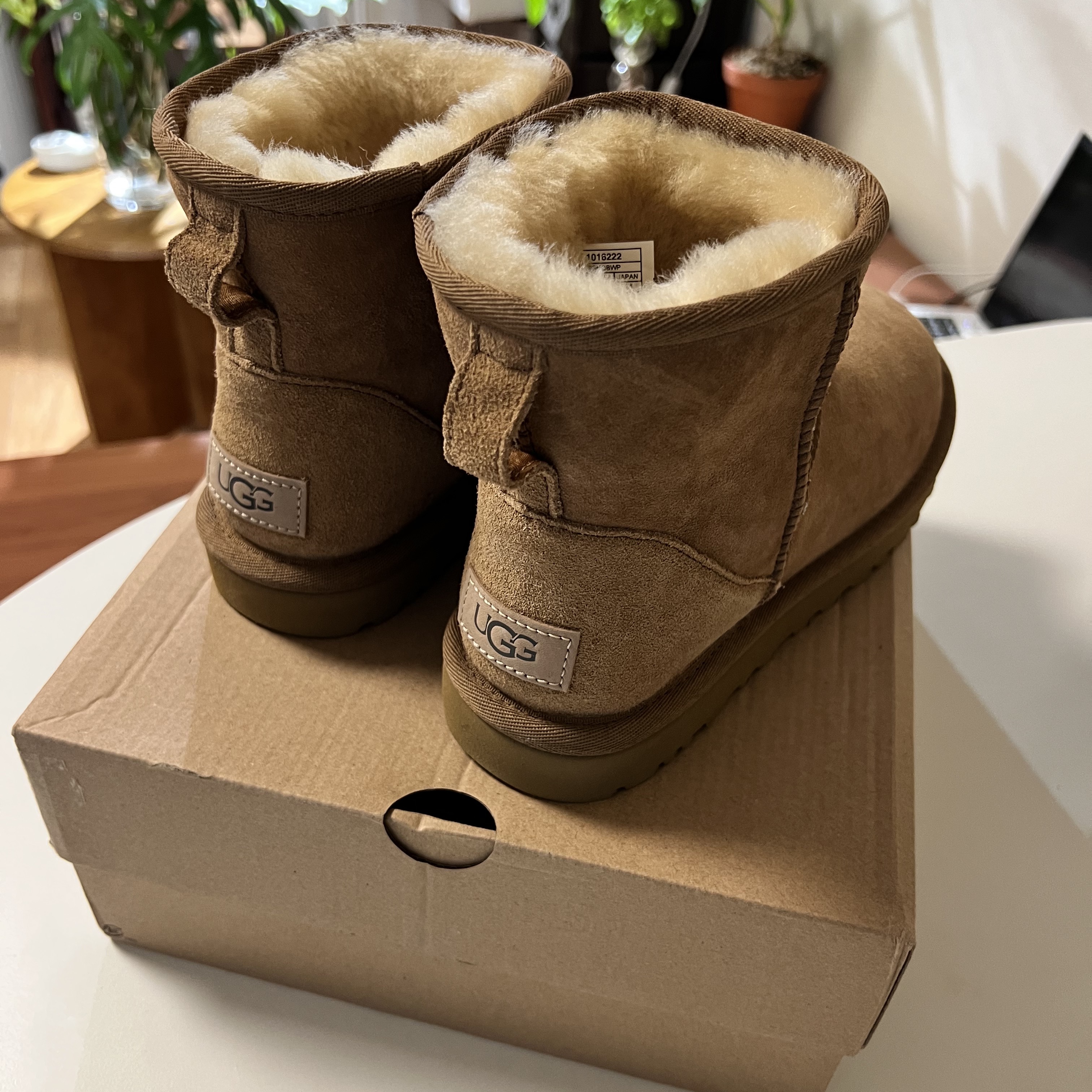 (W) UGG Classic Mini II Boots Chestnut 착용 스타일