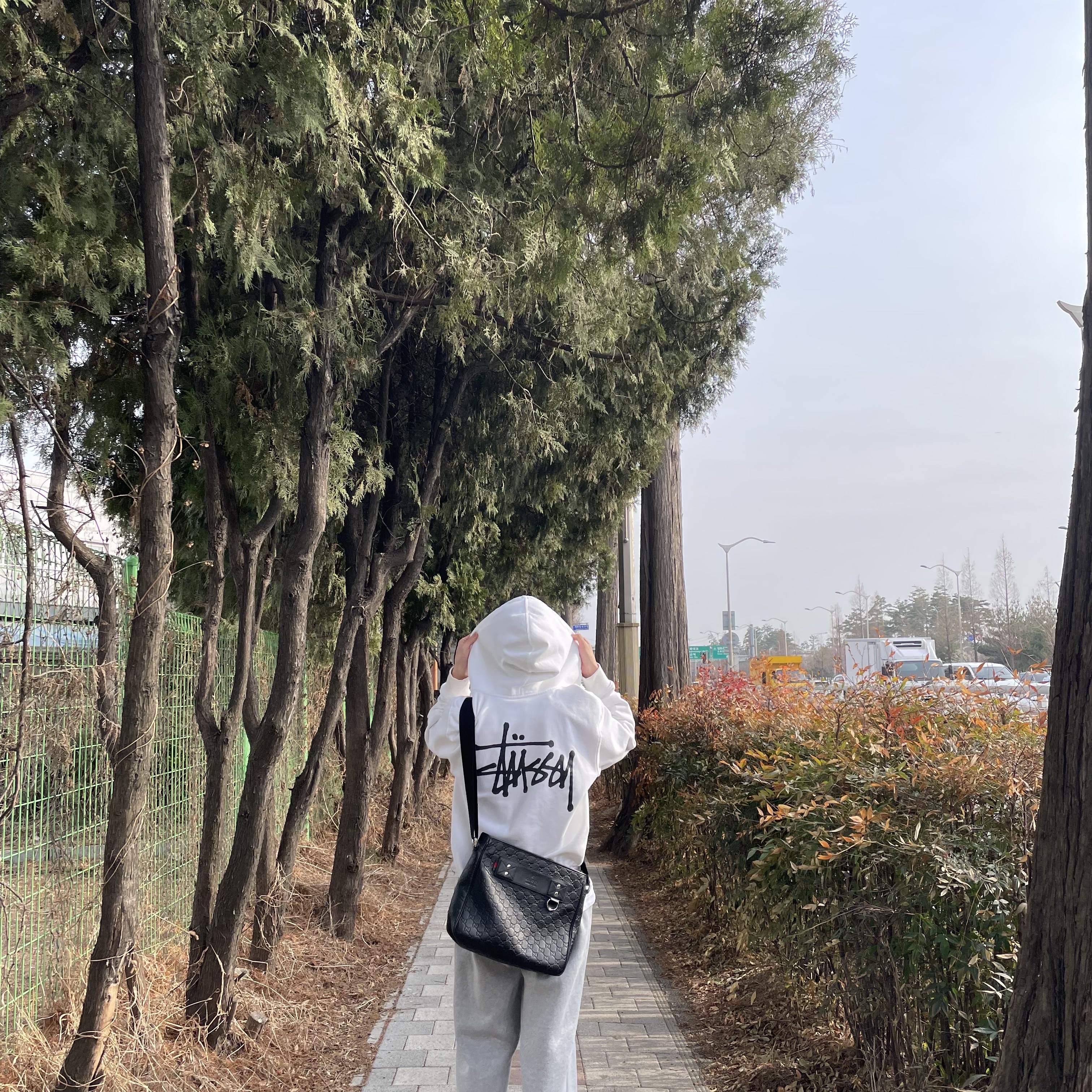 Stussy Basic Stussy Zip Hoodie White 2022 착용 스타일 - 2