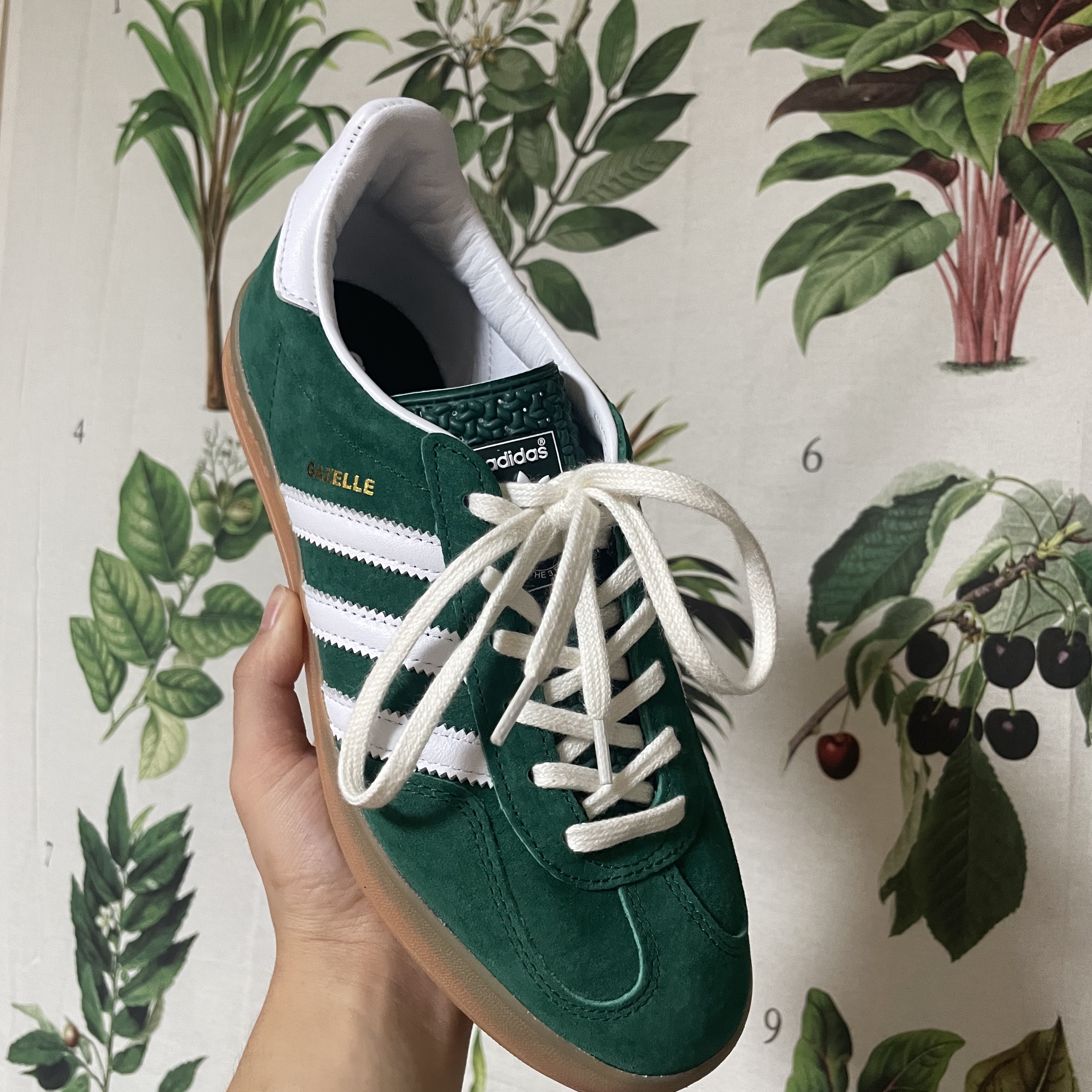 Adidas Gazelle Indoor Collegiate Green 착용 스타일 - 3