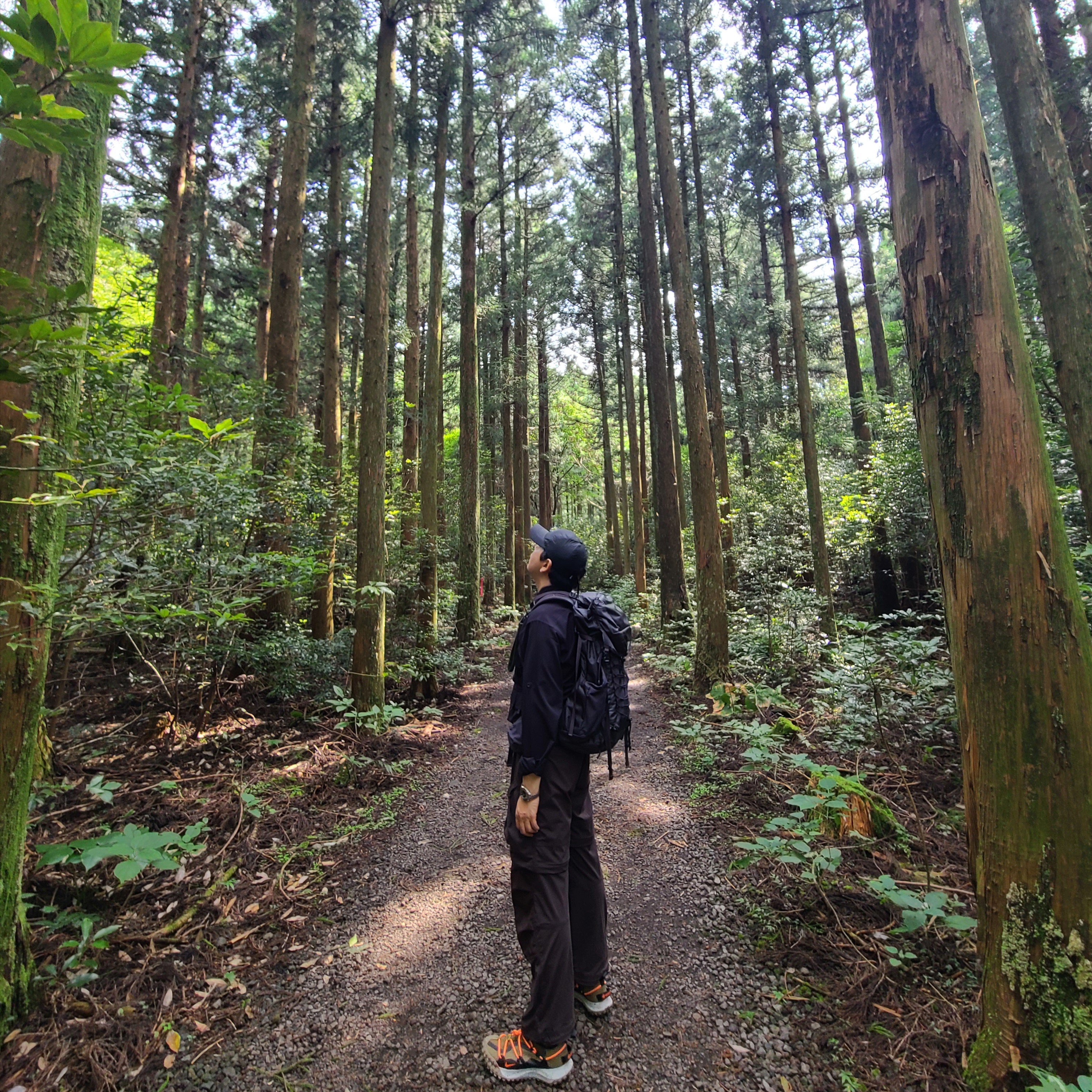 Nike ACG Smith Summit Cargo Pants Velvet Brown - Asia, Nike ACG Mountain Fly Low Gore-Tex SE Hazel Rush 착용 스타일 - 1