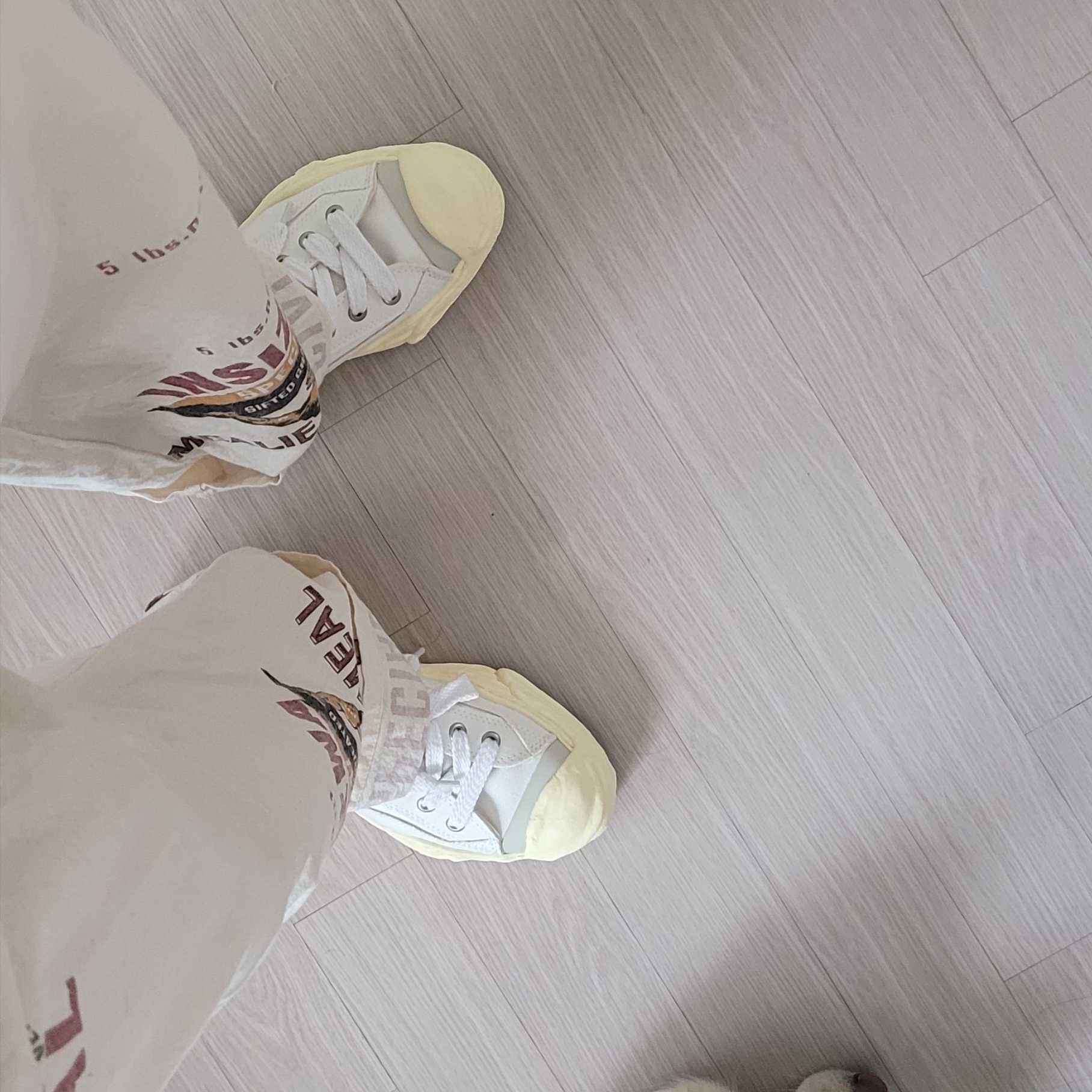 Maison Mihara Yasuhiro Hank VL OG Sole Canvas Low-top Sneakers White 착용 스타일 - 1