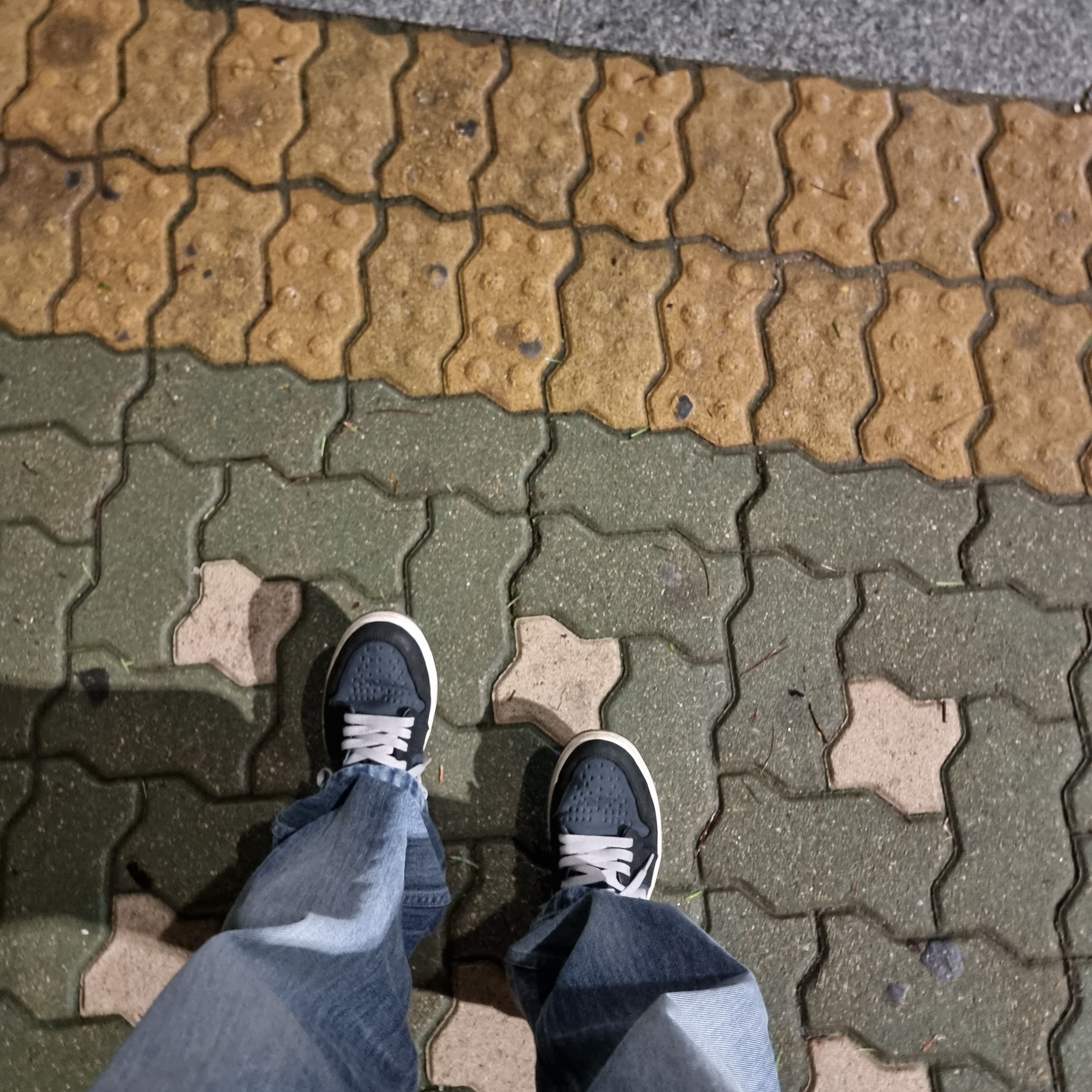Jordan 1 Element Gore-Tex Particle Grey 착용 스타일
