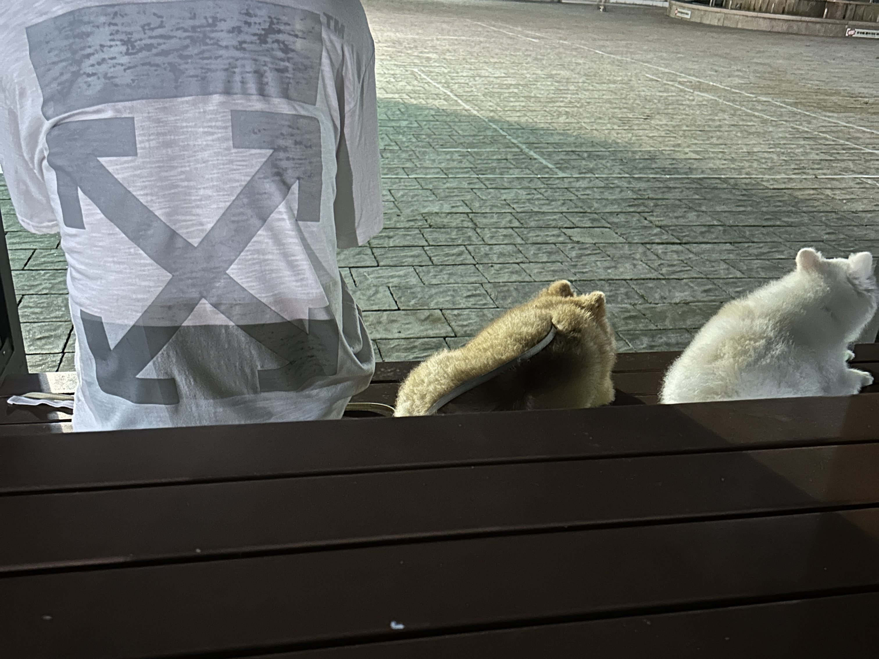 Off-White Rubber Arrow Skate Over S/S T-Shirt Stone 착용 스타일