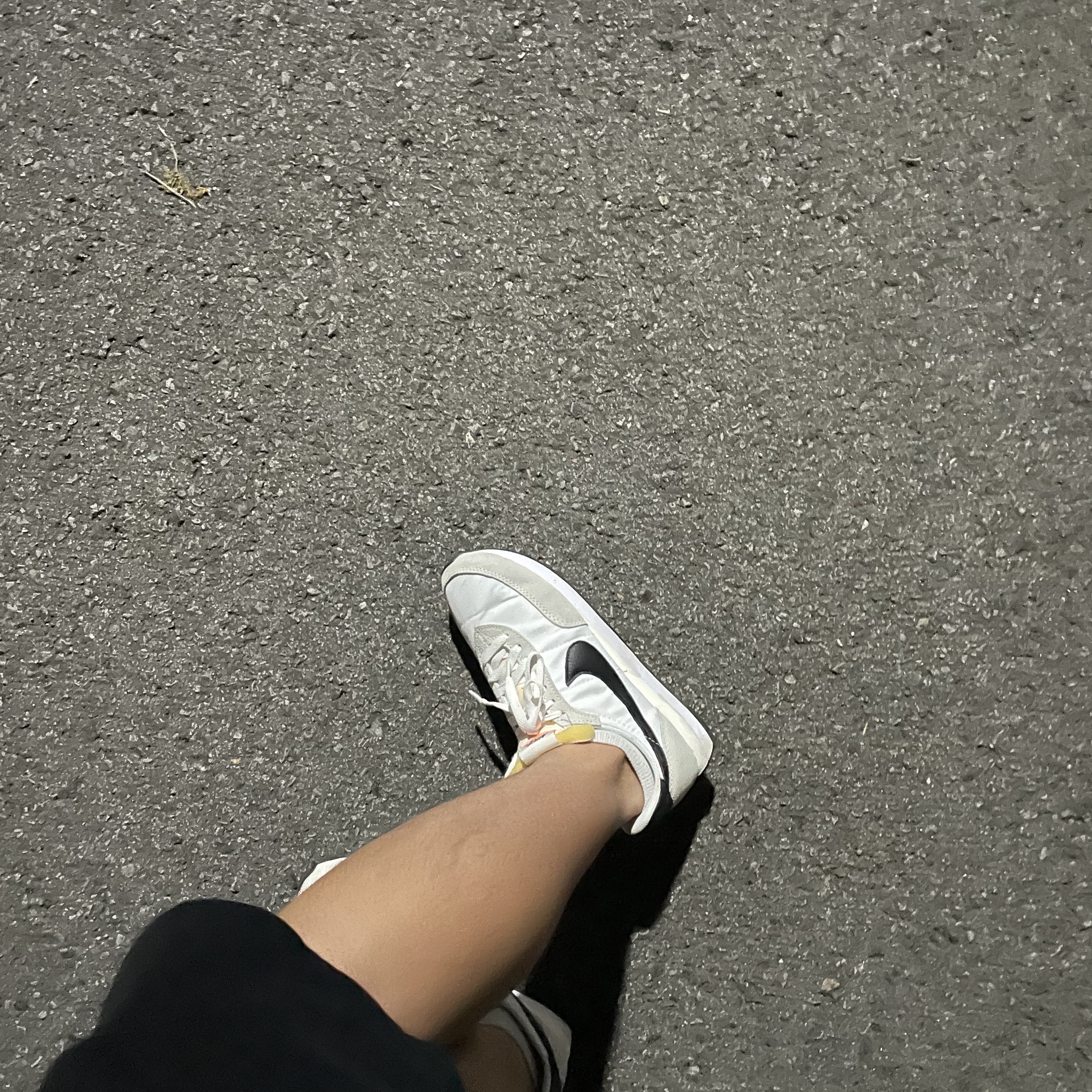 Nike Waffle Trainer 2 Black Sail 착용 스타일