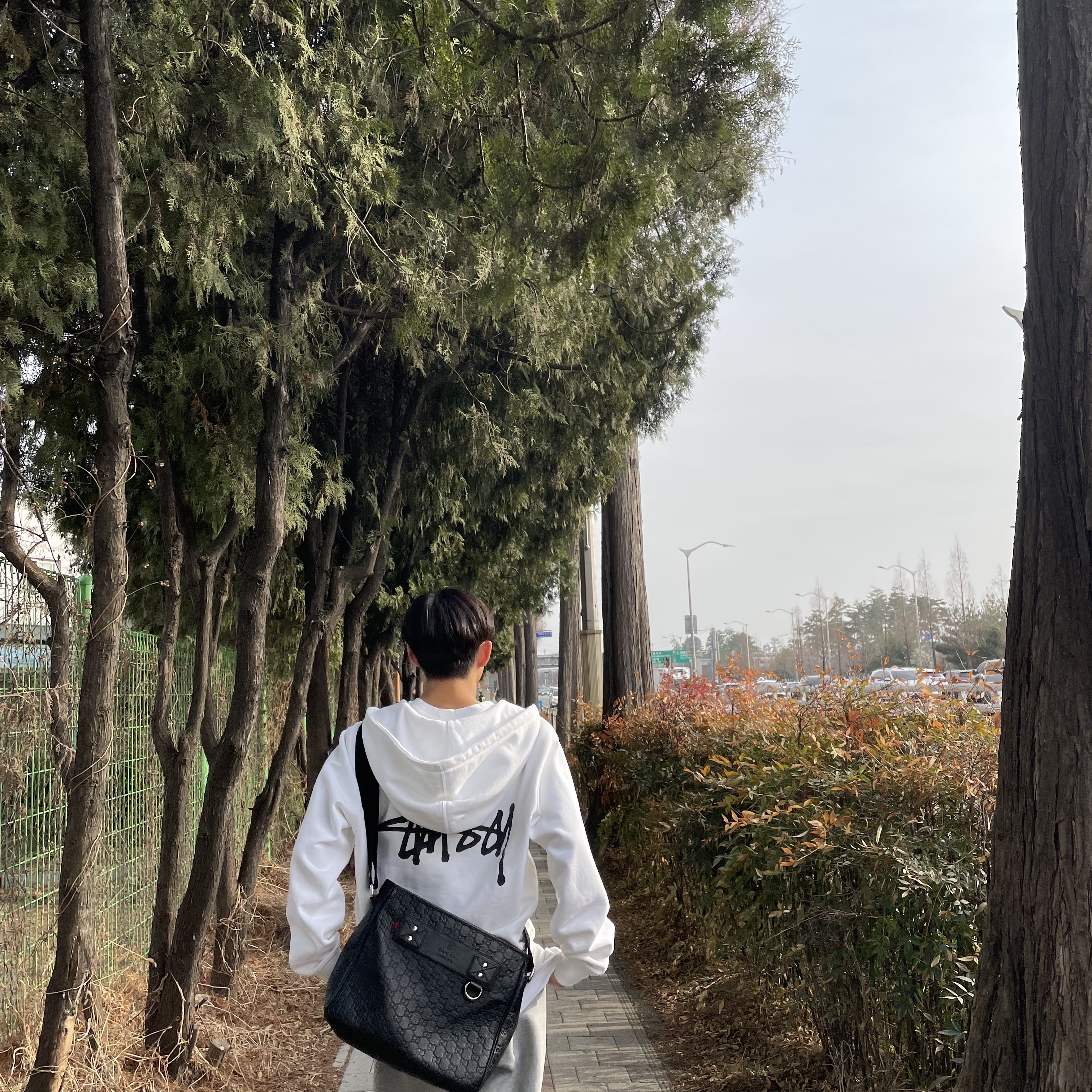 Stussy Basic Stussy Zip Hoodie White 2022 착용 스타일 - 1