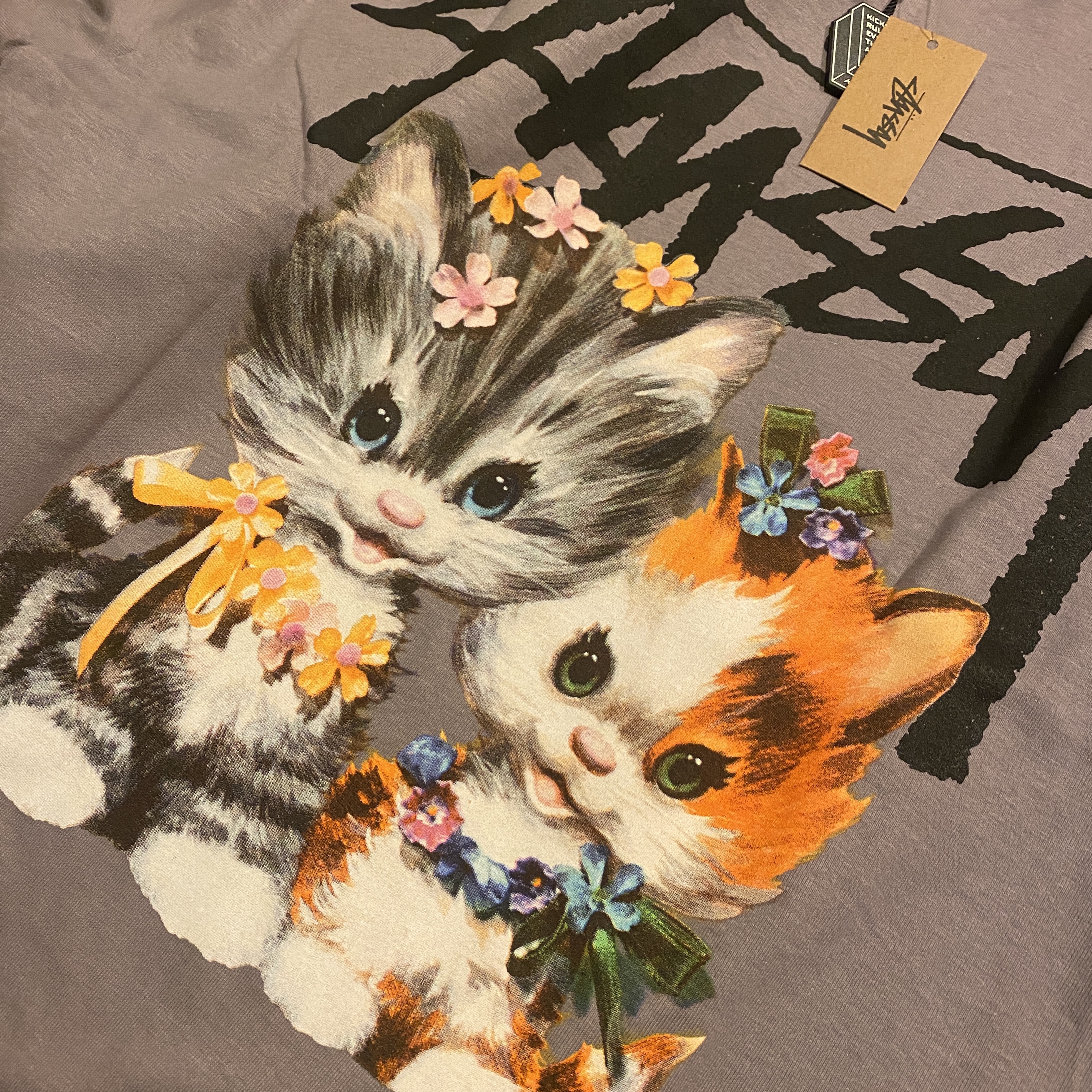 Stussy Kittens T-Shirt Mauve 착용 스타일