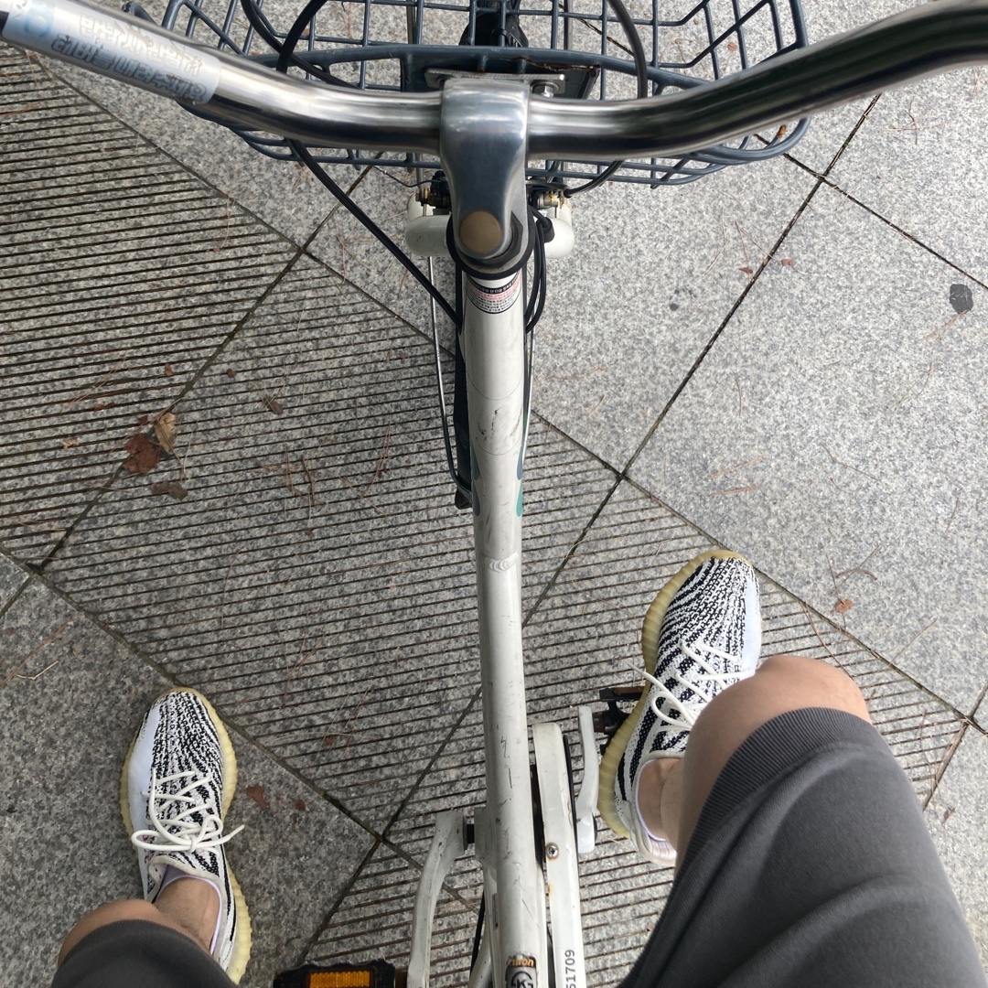 Adidas Yeezy Boost 350 V2 Zebra 2017/2019/2020 착용 스타일