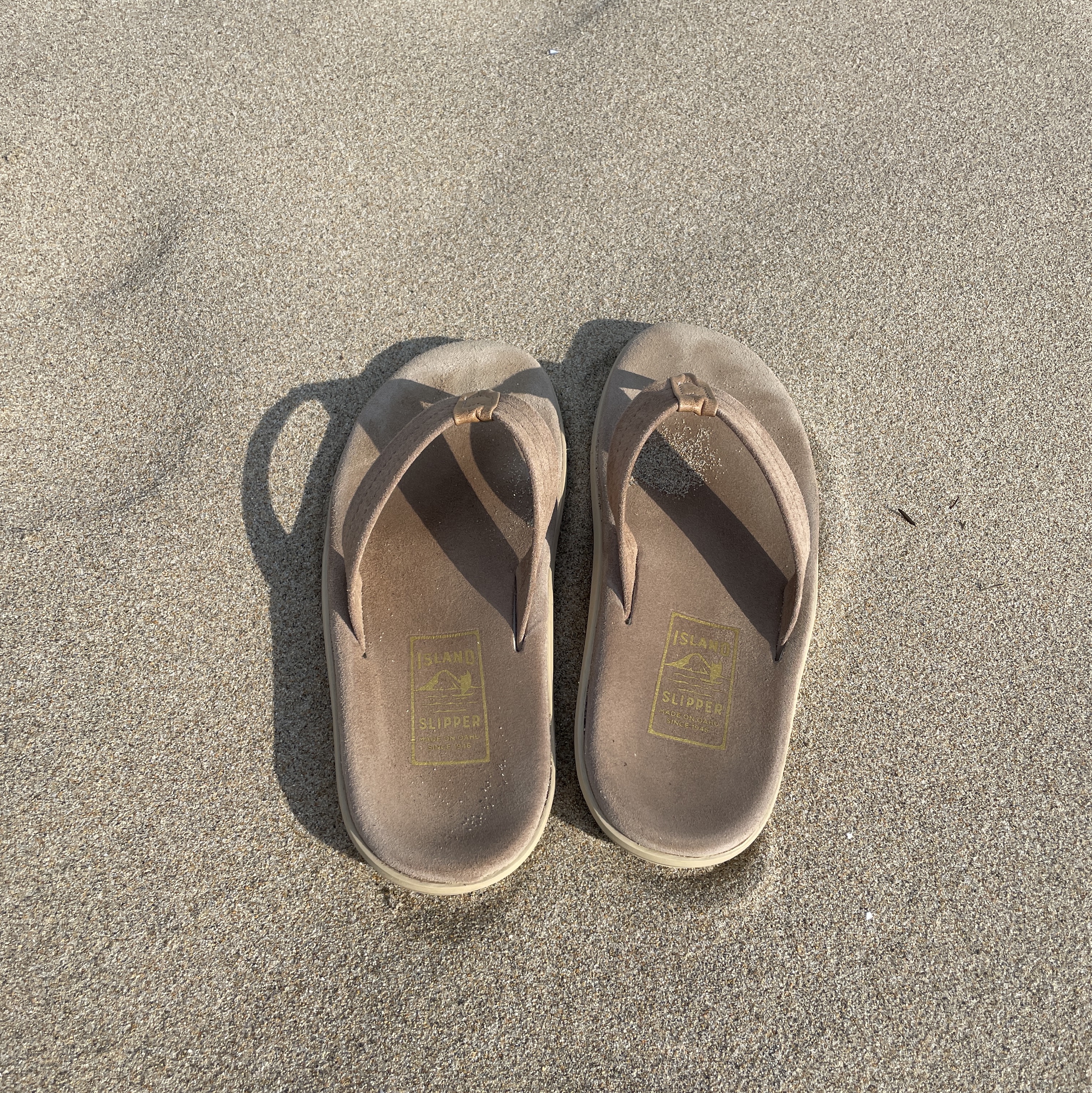 Island Slipper Classic Ultimate Suede Taupe Tan 착용 스타일