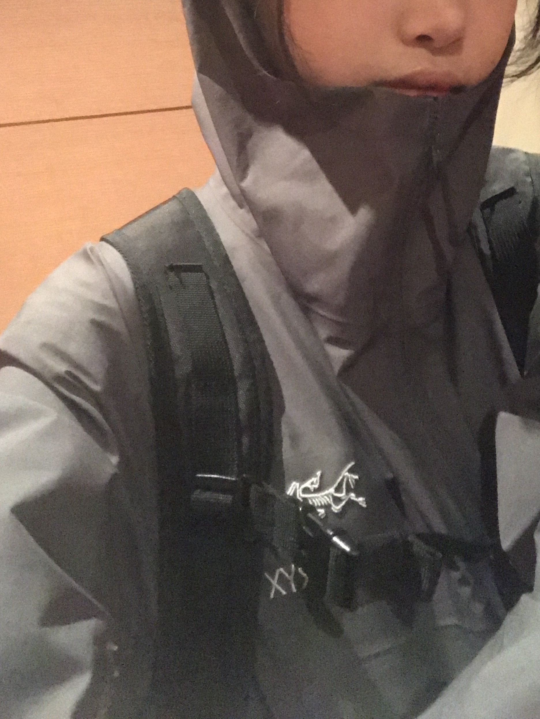 Arc'teryx Beta Jacket Cloud, Mischief Rhombus Backpack Black 착용 스타일 - 2