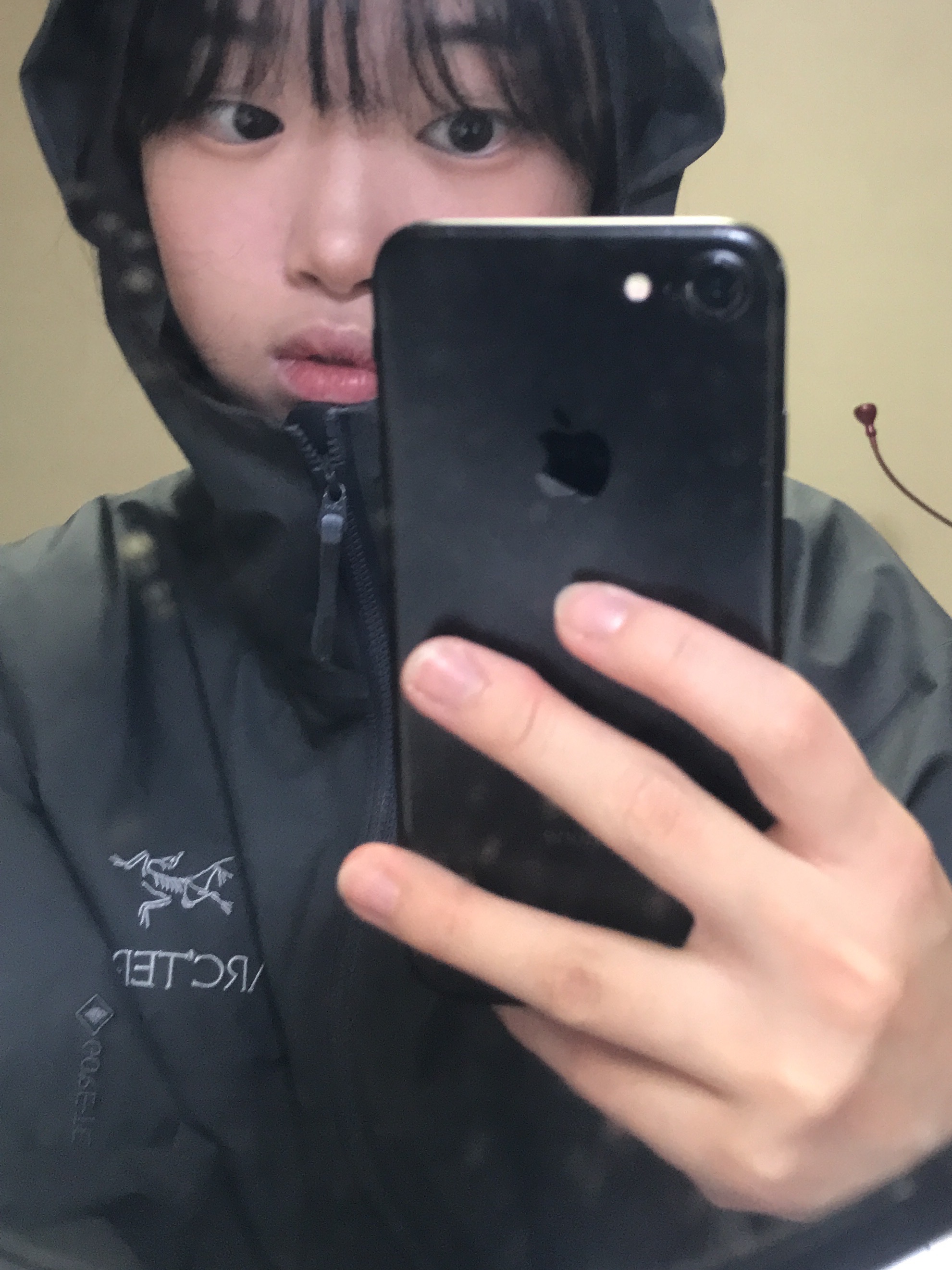 Arc'teryx Beta Jacket Cloud, Mischief Rhombus Backpack Black 착용 스타일 - 4