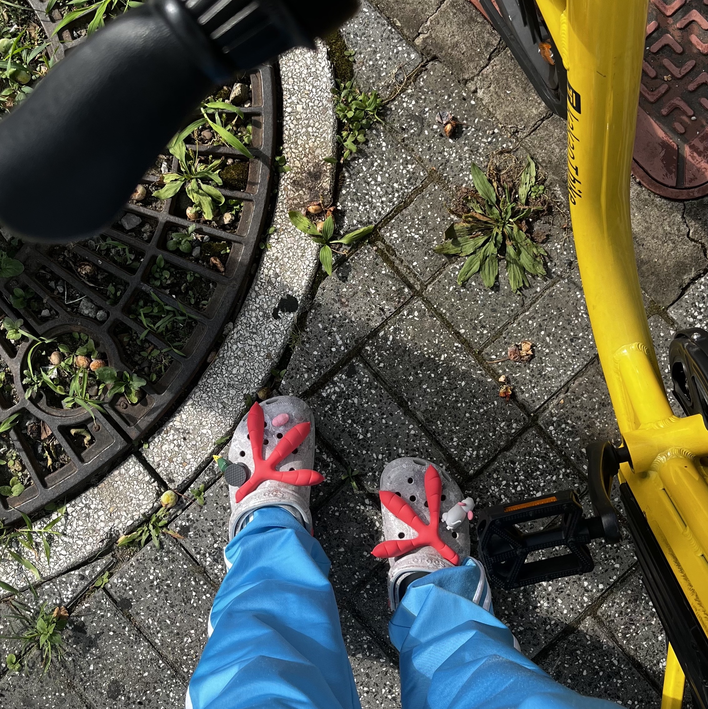 Crocs x Staple Classic Clog Grey Red 착용 스타일