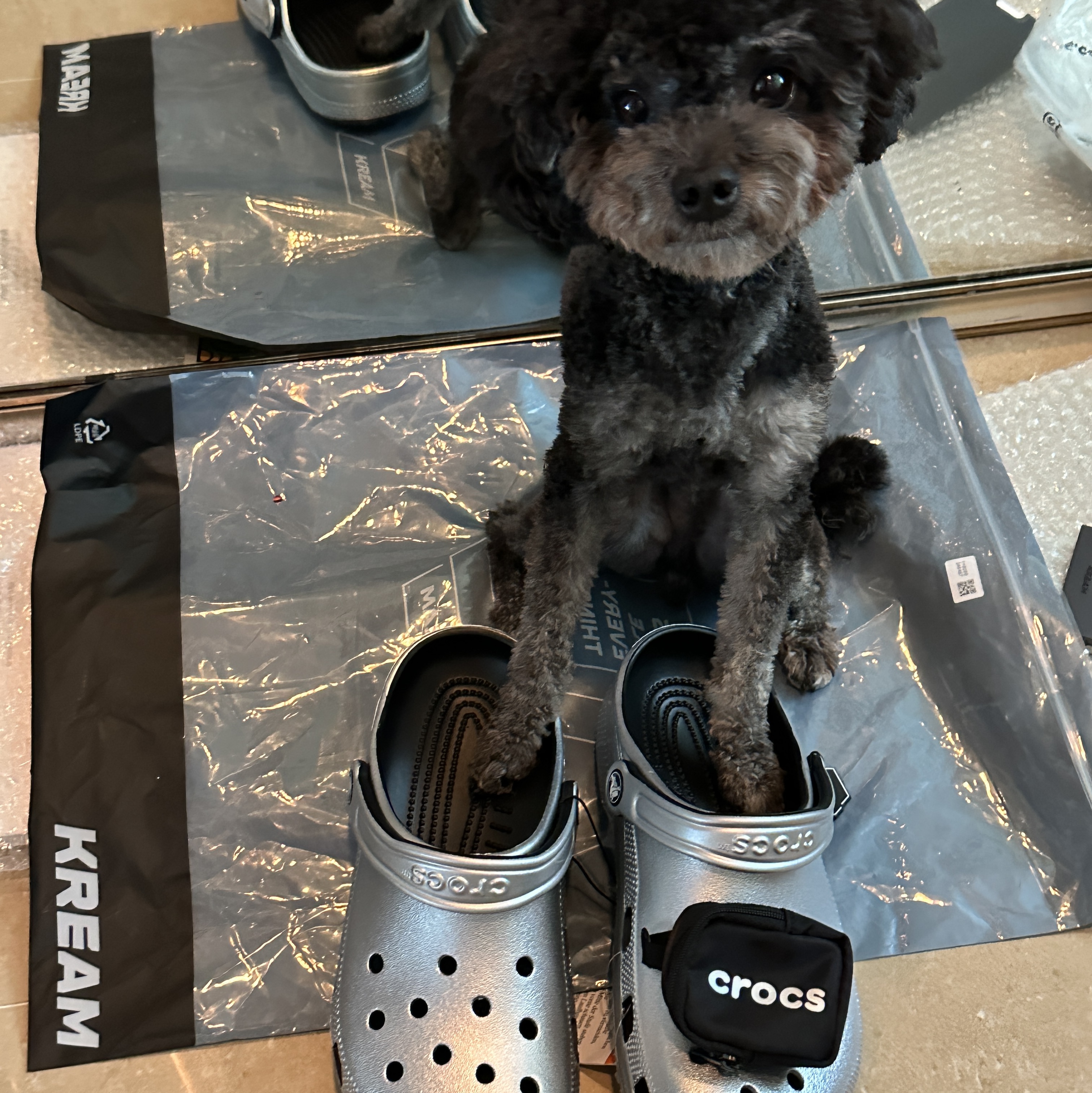 Crocs Classic Metallic Clog Silver 착용 스타일 - 1