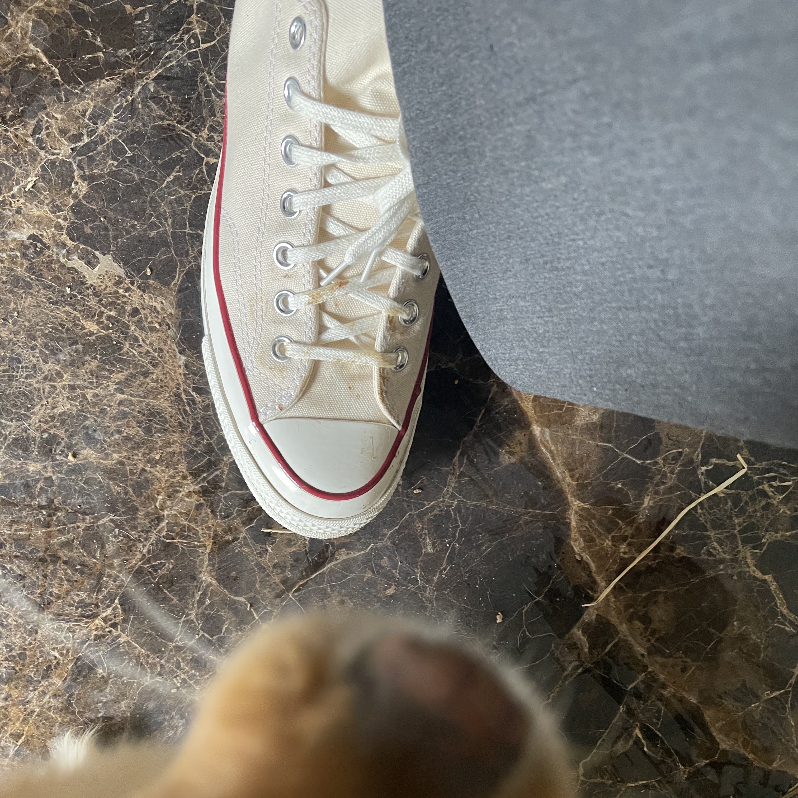 Converse Chuck 70 Ox Parchment 착용 스타일