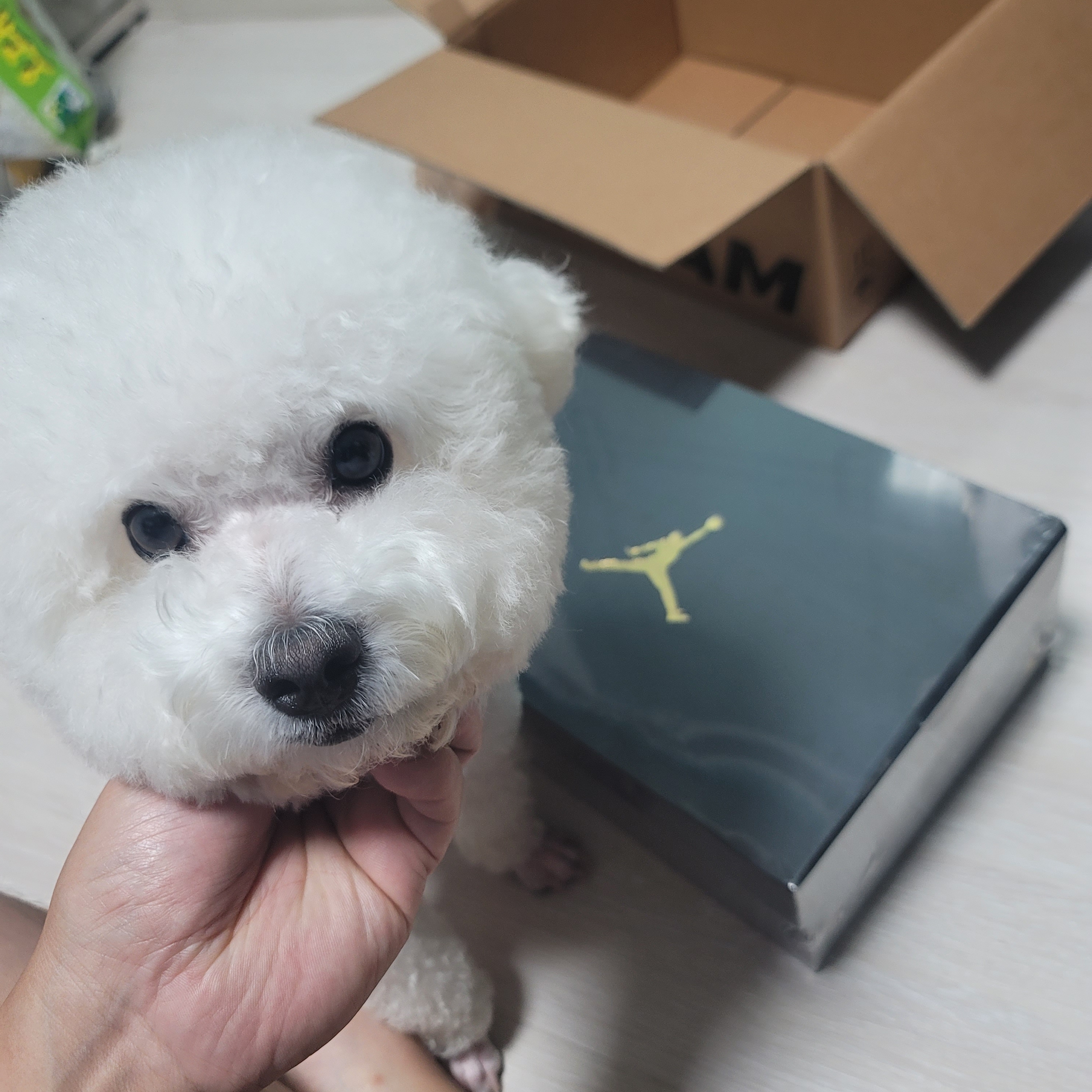Jordan 1 Low White Gym Red Black 착용 스타일 - 1