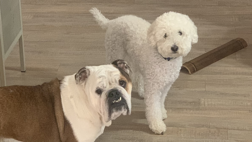 관심 유저 프로필 이미지