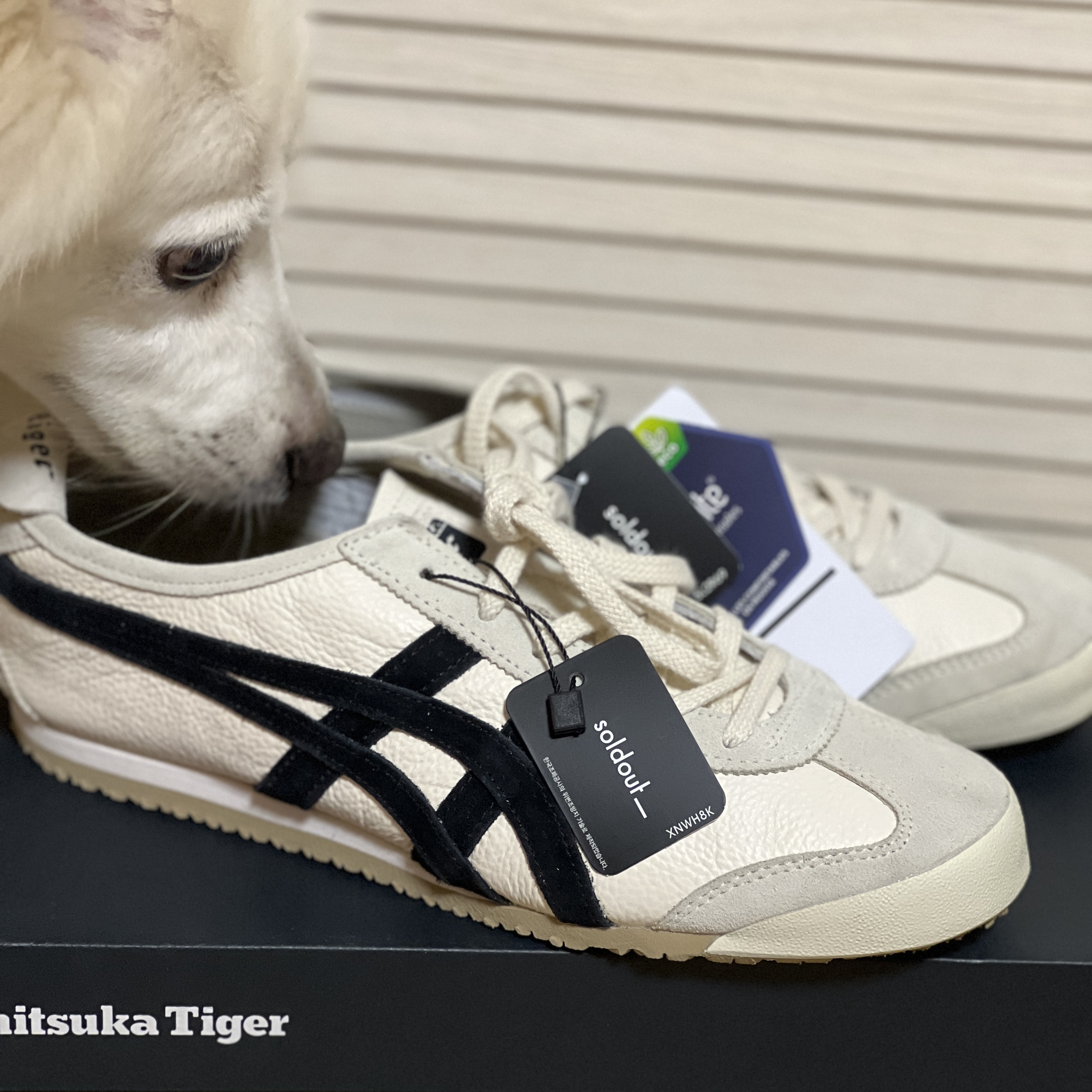 Onitsuka Tiger Mexico 66 Vintage White Black 착용 스타일 - 2