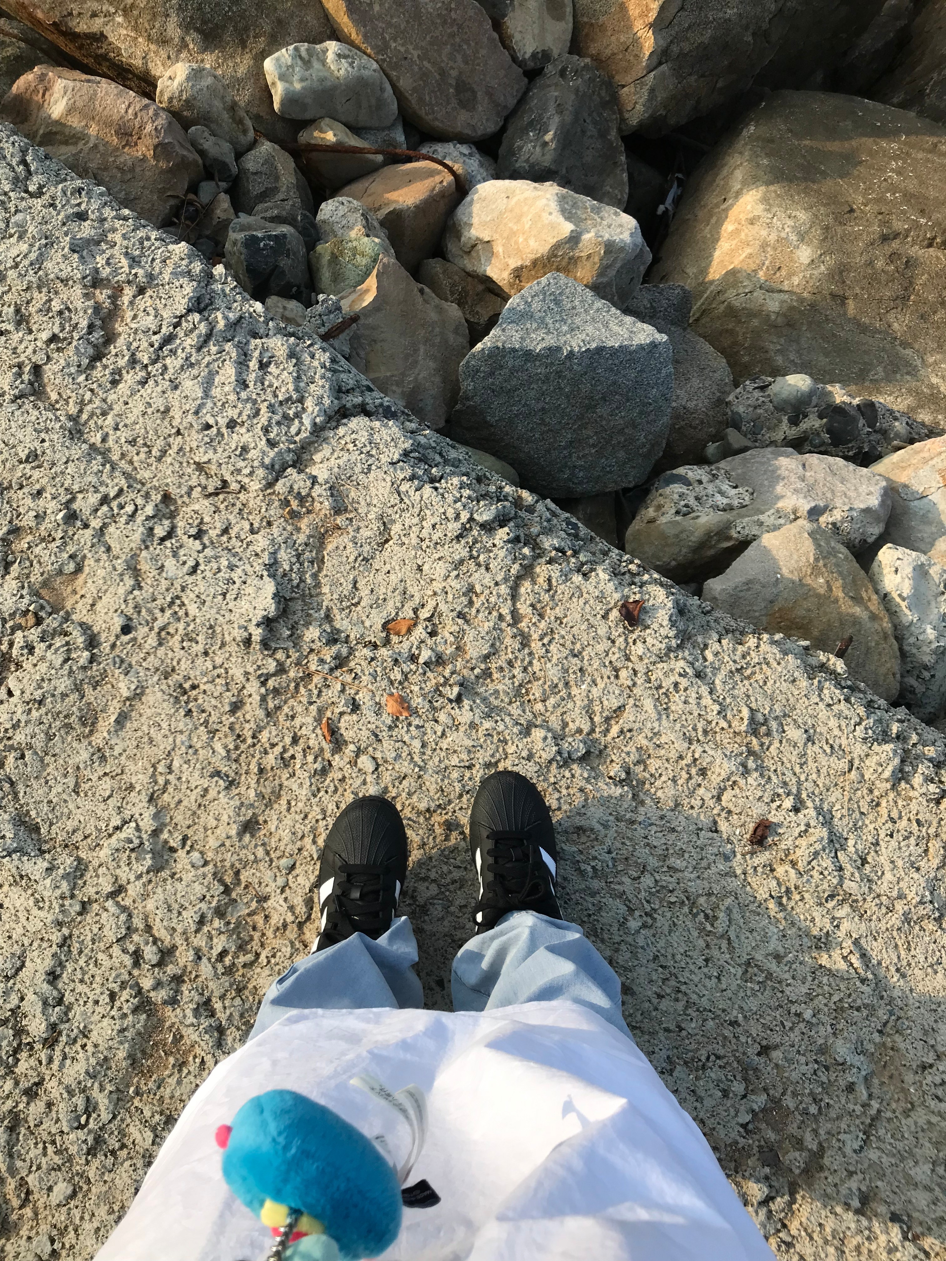 (J) Adidas Superstar Black White 착용 스타일 - 1