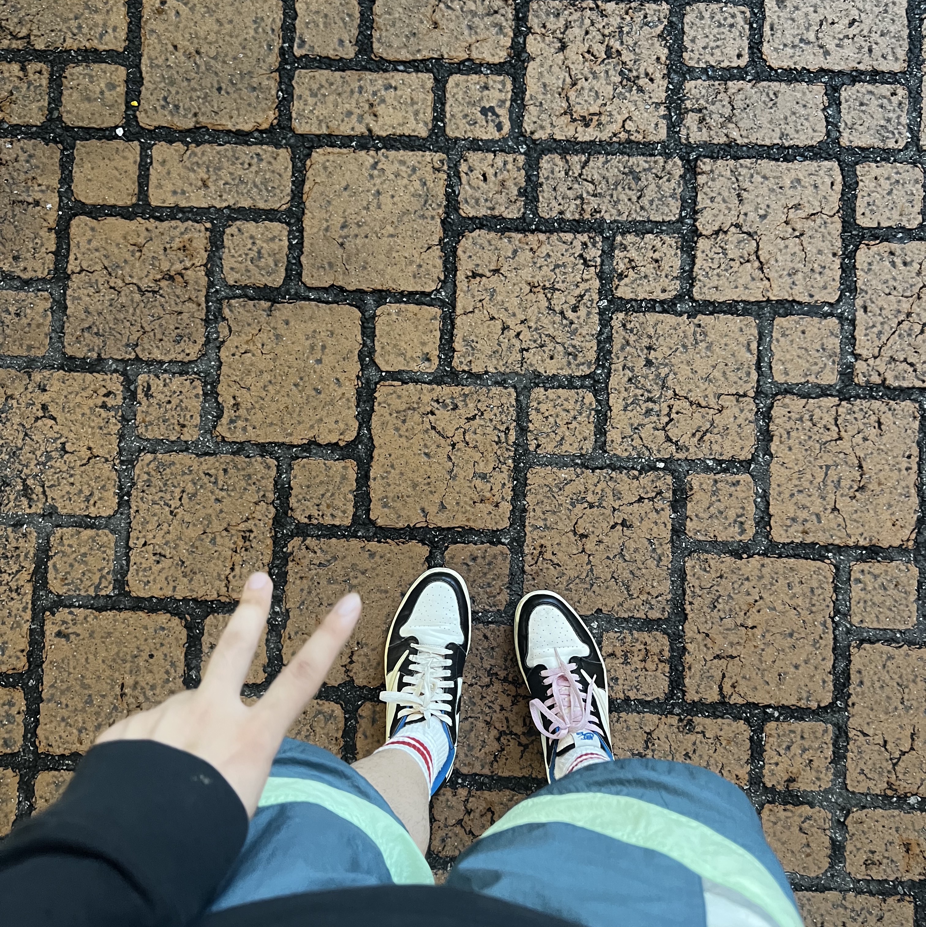 Jordan 1 x Travis Scott x Fragment Retro Low OG SP Military Blue 착용 스타일