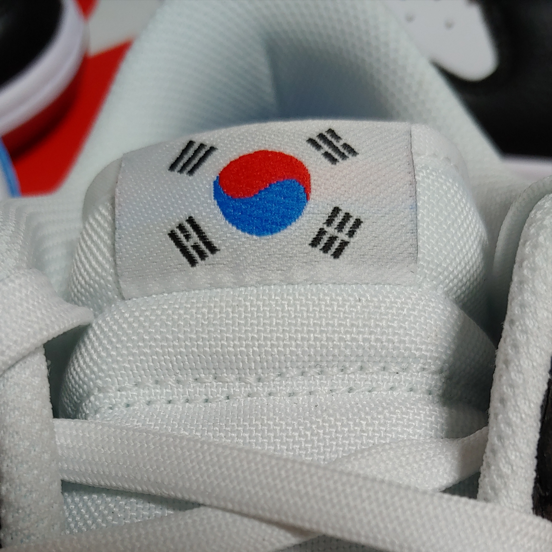 Nike Dunk Low SE Seoul (With Special Gift), Nike Dunk Low SE Seoul 착용 스타일 - 1