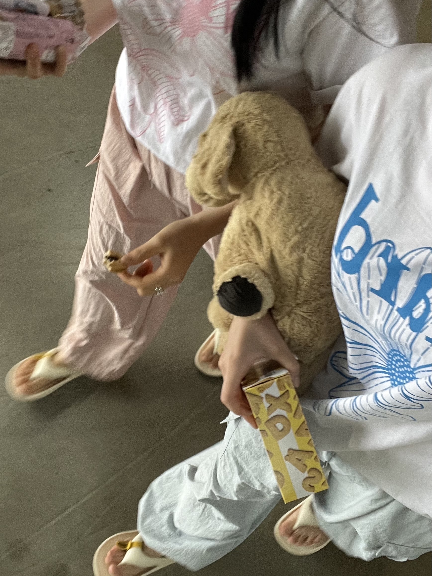 Taw&Toe Flip Flop V2 Zerovity S25 Cream 착용 스타일 - 1