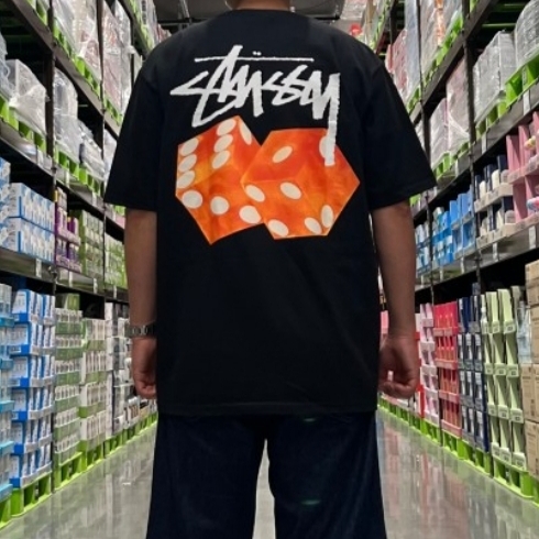 Stussy Diced Out T-Shirt Black 착용 스타일