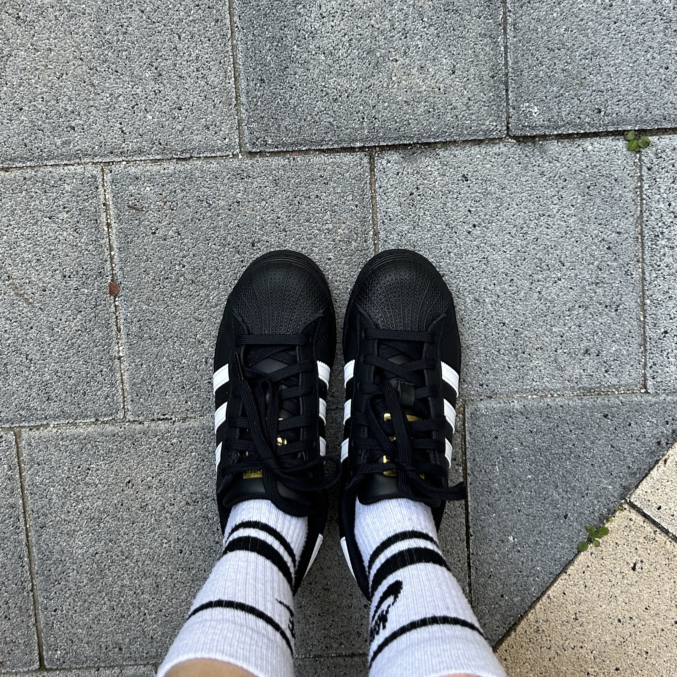 (J) Adidas Superstar Black White 착용 스타일
