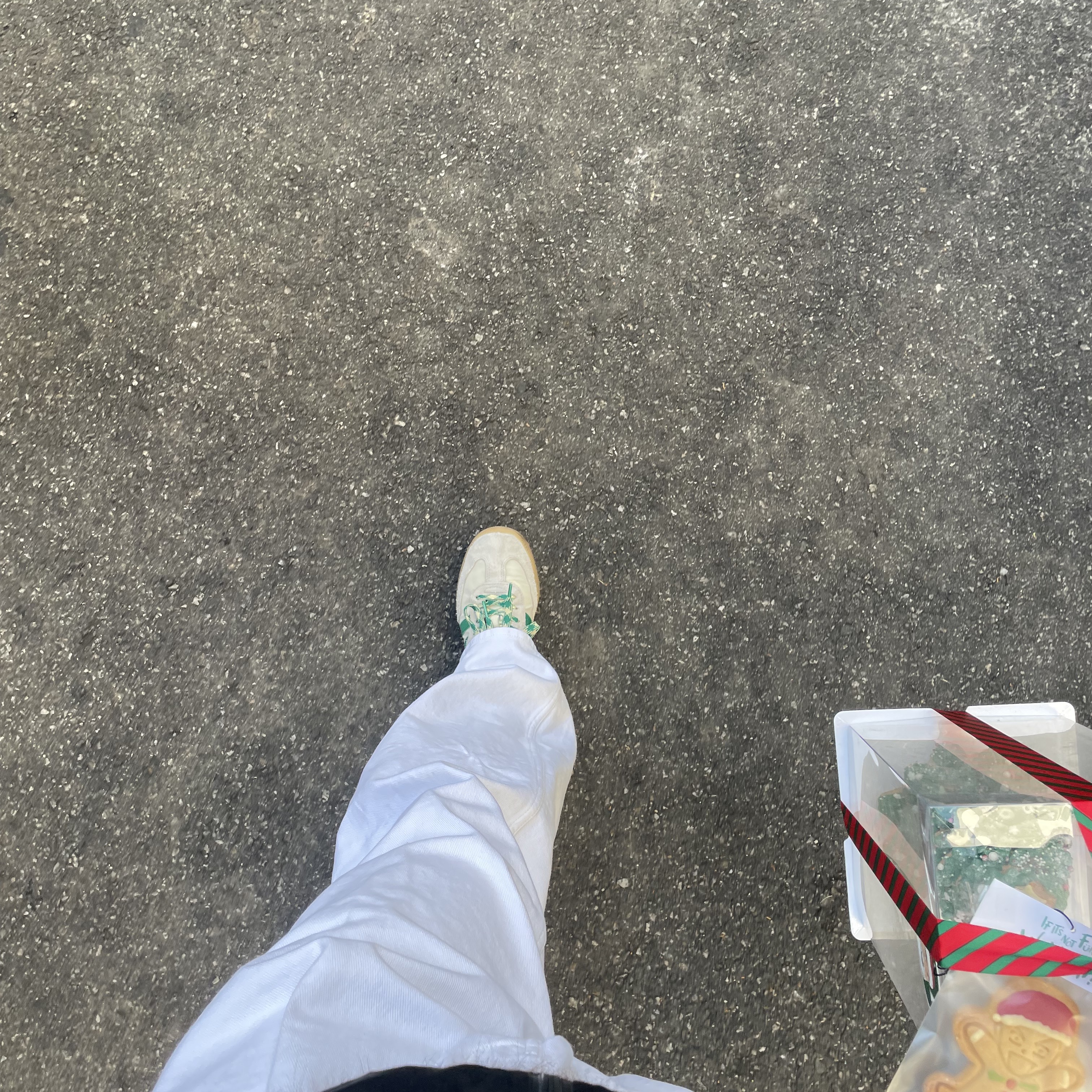Adidas x Wales Bonner Samba Cream Green 착용 스타일