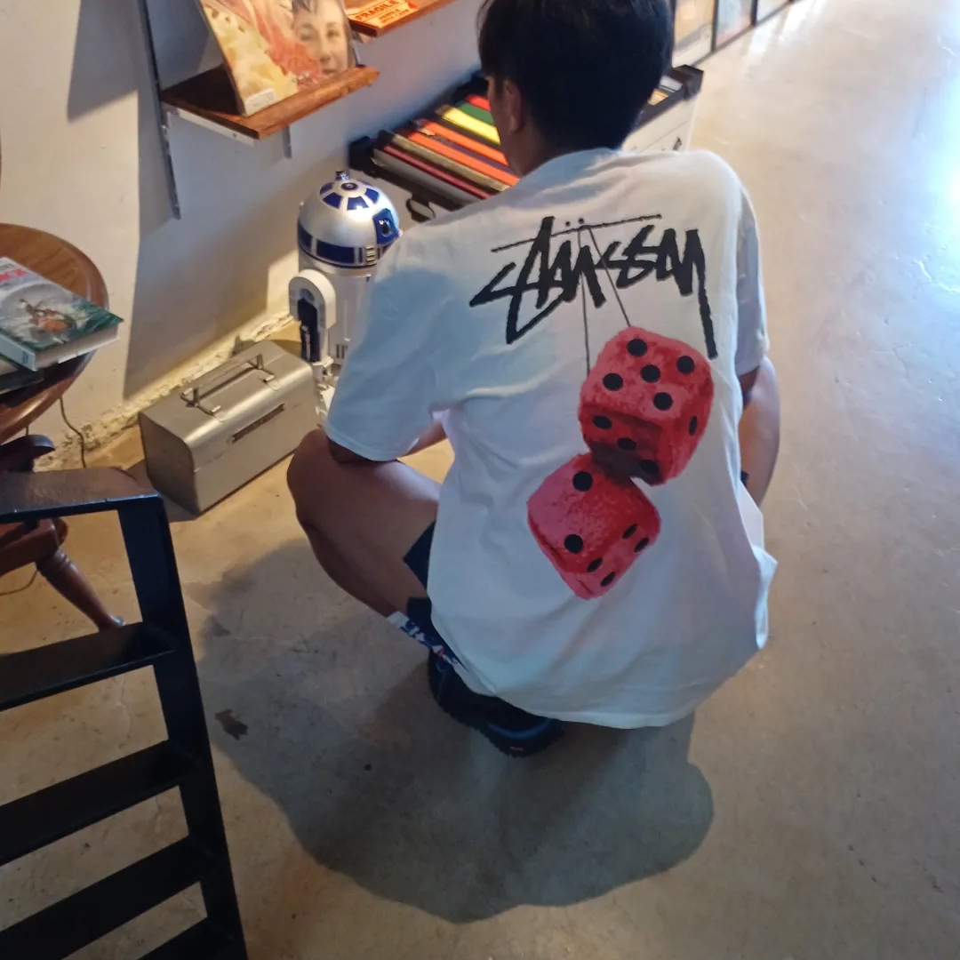 Stussy Fuzzy Dice T-Shirt White 착용 스타일 - 2