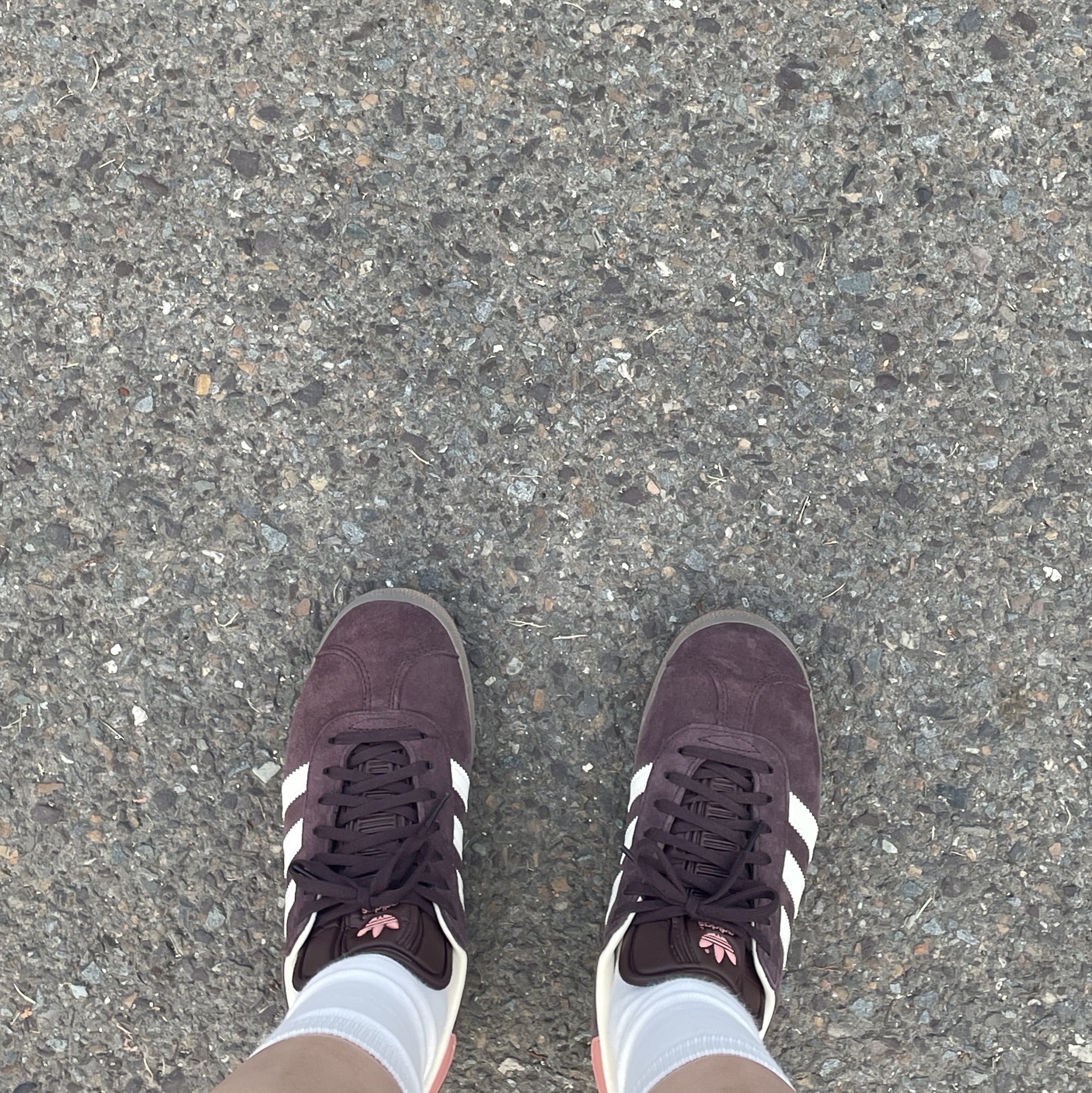 (W) Adidas Gazelle Shadow Brown 착용 스타일