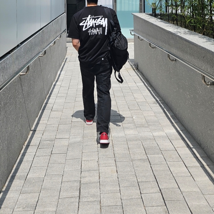 Jordan 1 Retro Low OG Black Toe, Stussy Stock Hawaii T-Shirt Black 착용 스타일