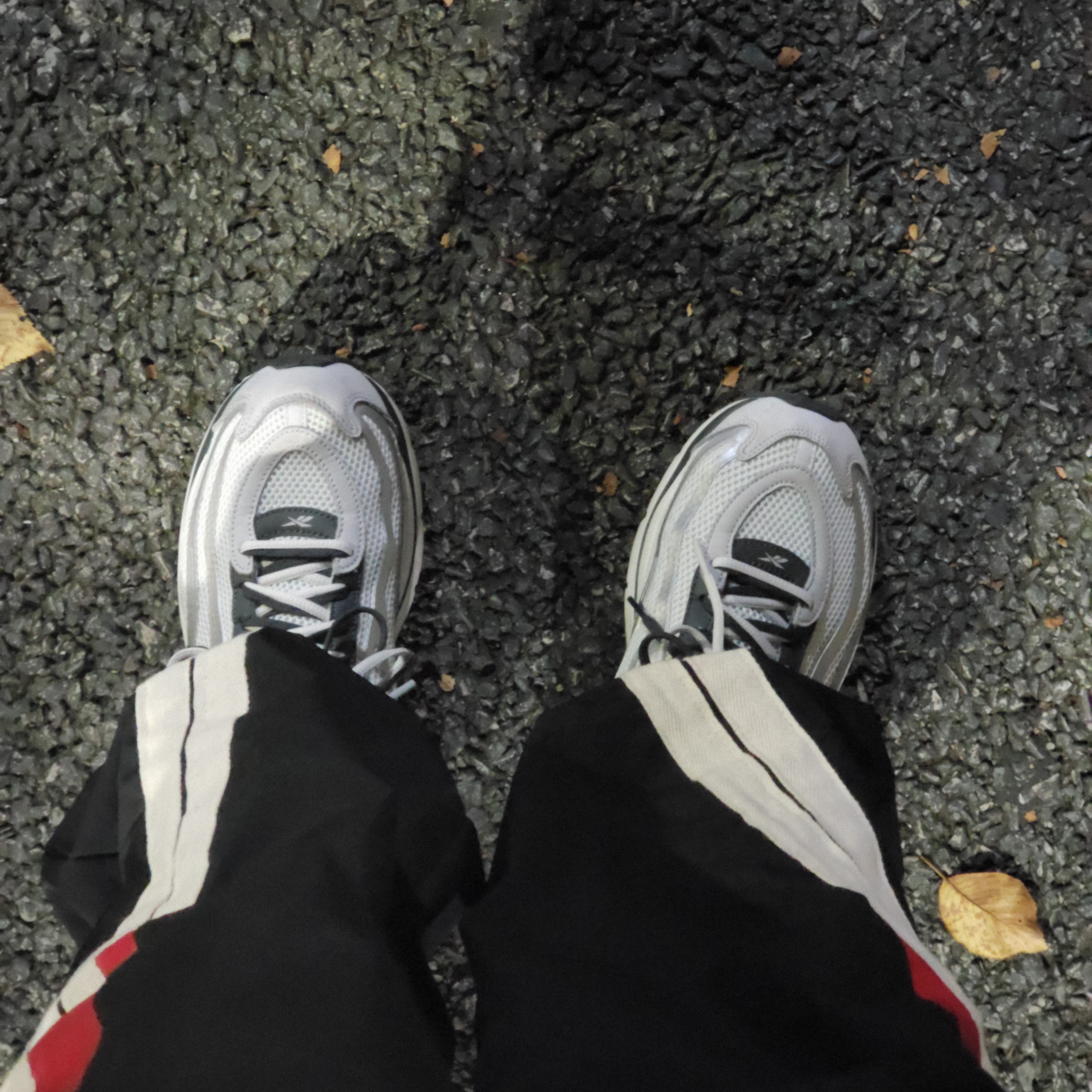 Reebok x Liful Premier Pump Paris Grey 착용 스타일