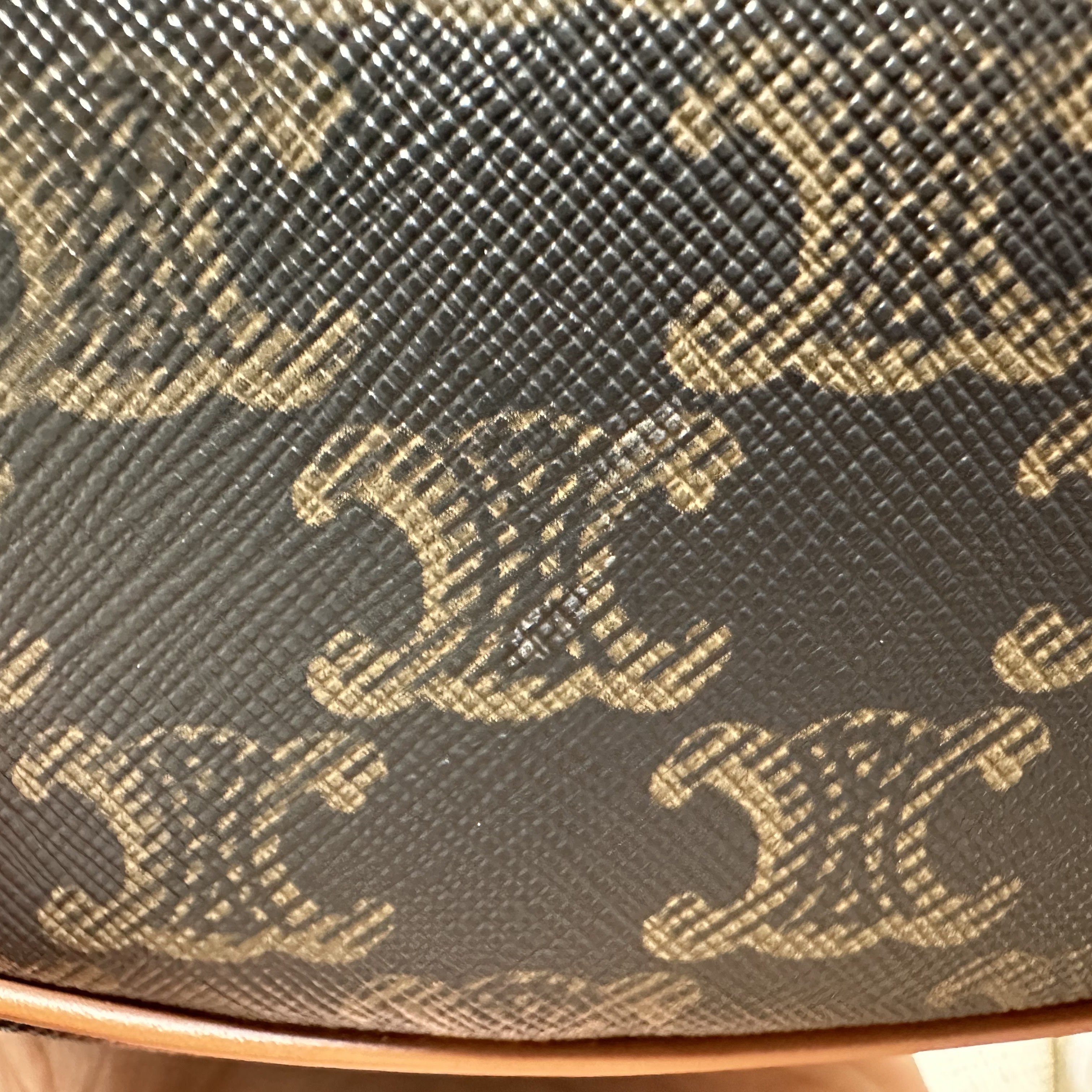 Celine Ava Bag in Triomphe Canvas and Calfskin Tan 착용 스타일 - 1