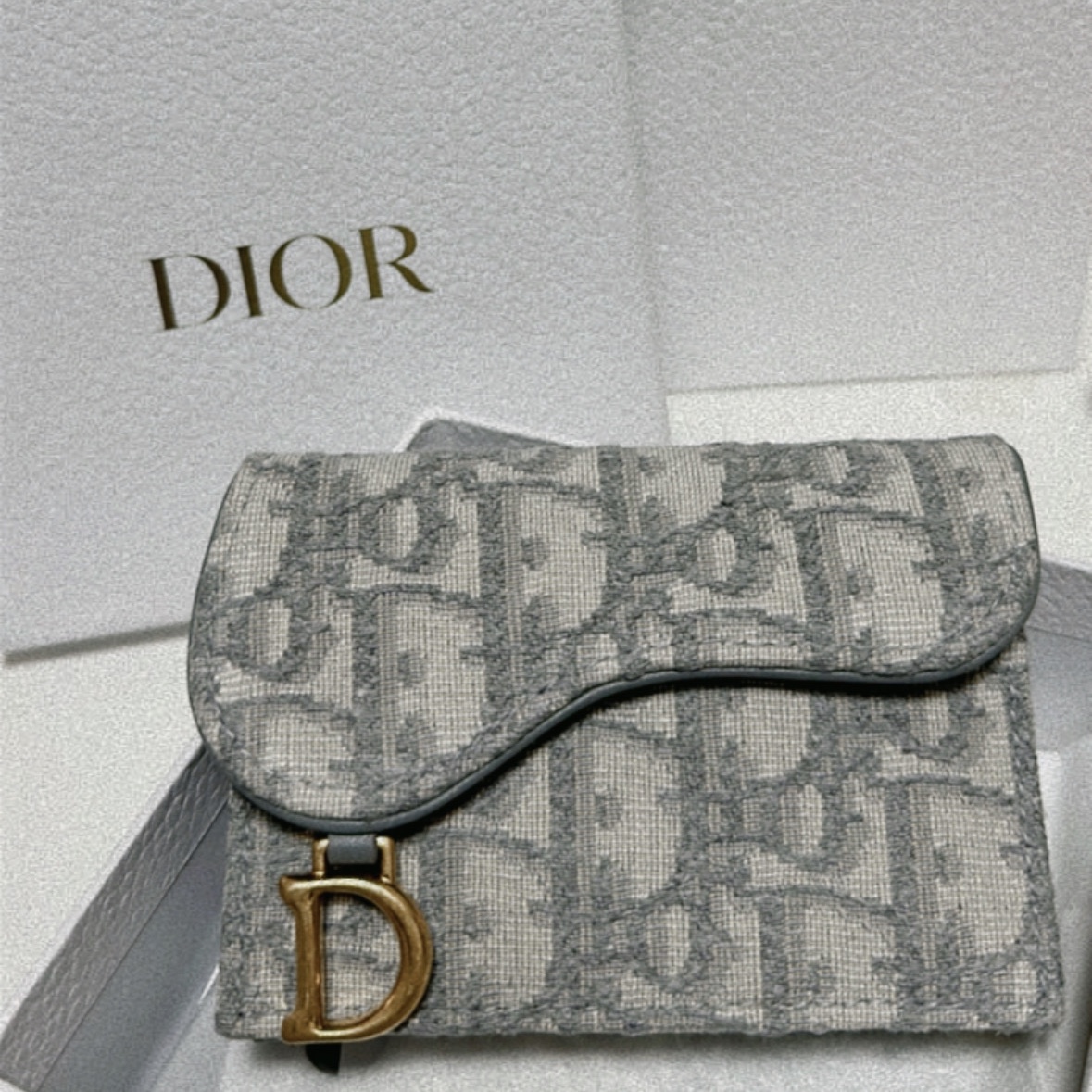 Dior Saddle Flap Card Holder Grey Dior Oblique Jacquard 착용 스타일