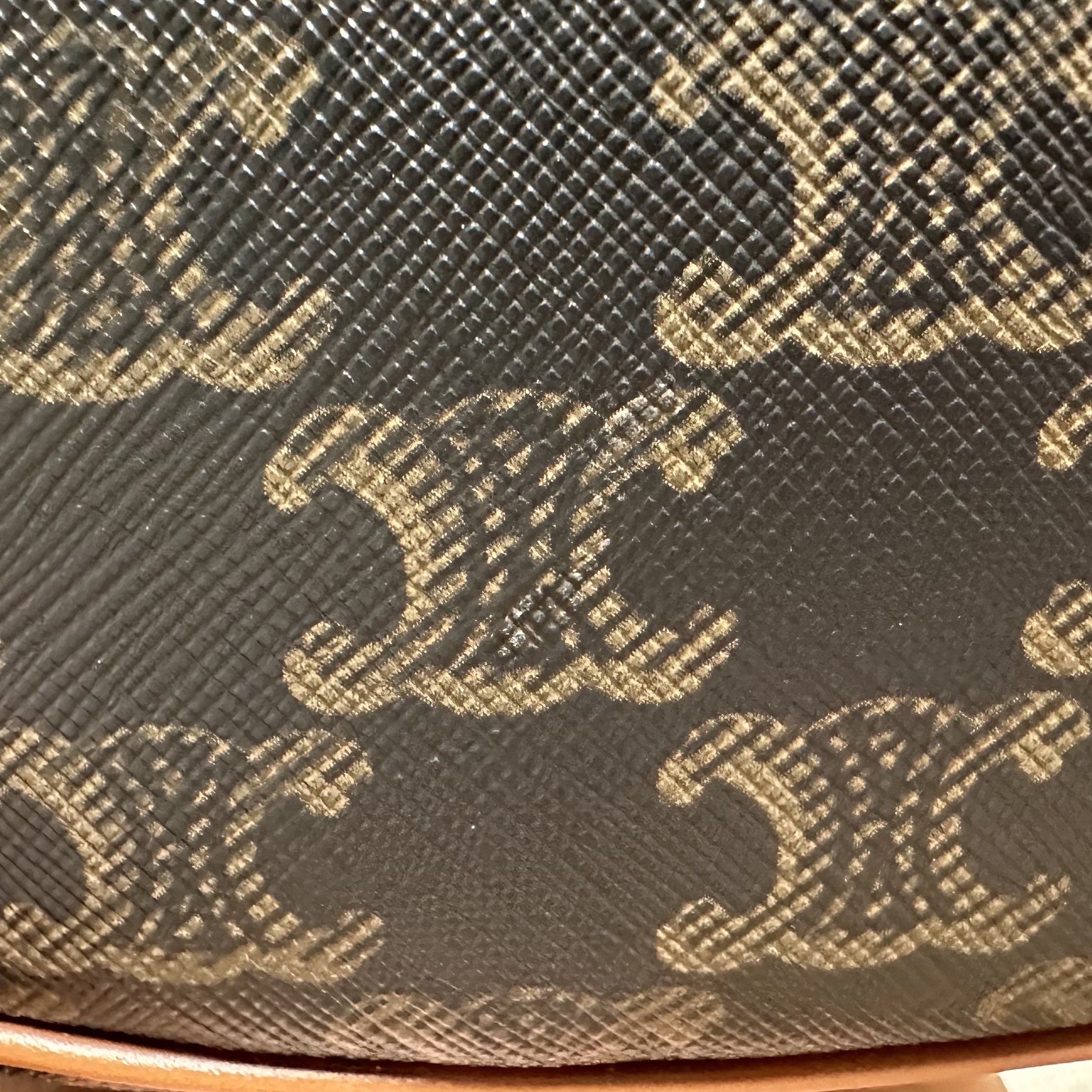 Celine Ava Bag in Triomphe Canvas and Calfskin Tan 착용 스타일 - 2