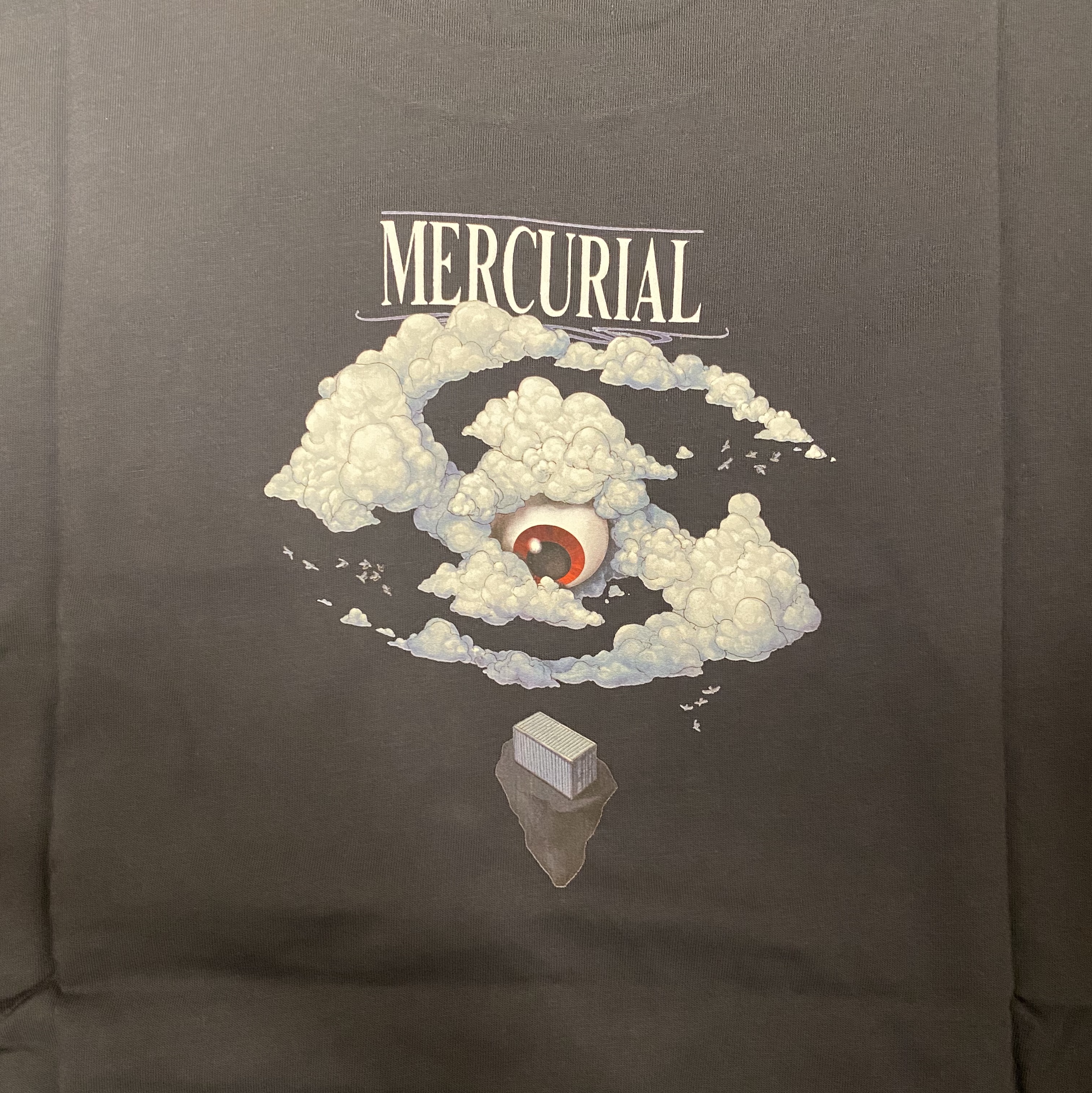 Sansan Gear Mercurial T-Shirt Charcoal - 23SS 착용 스타일