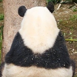 관심 유저 프로필 이미지