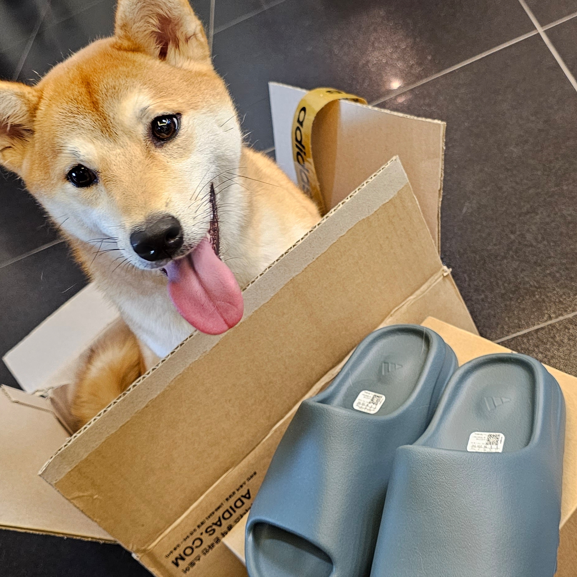 Adidas Yeezy Slide Slate Marine 착용 스타일