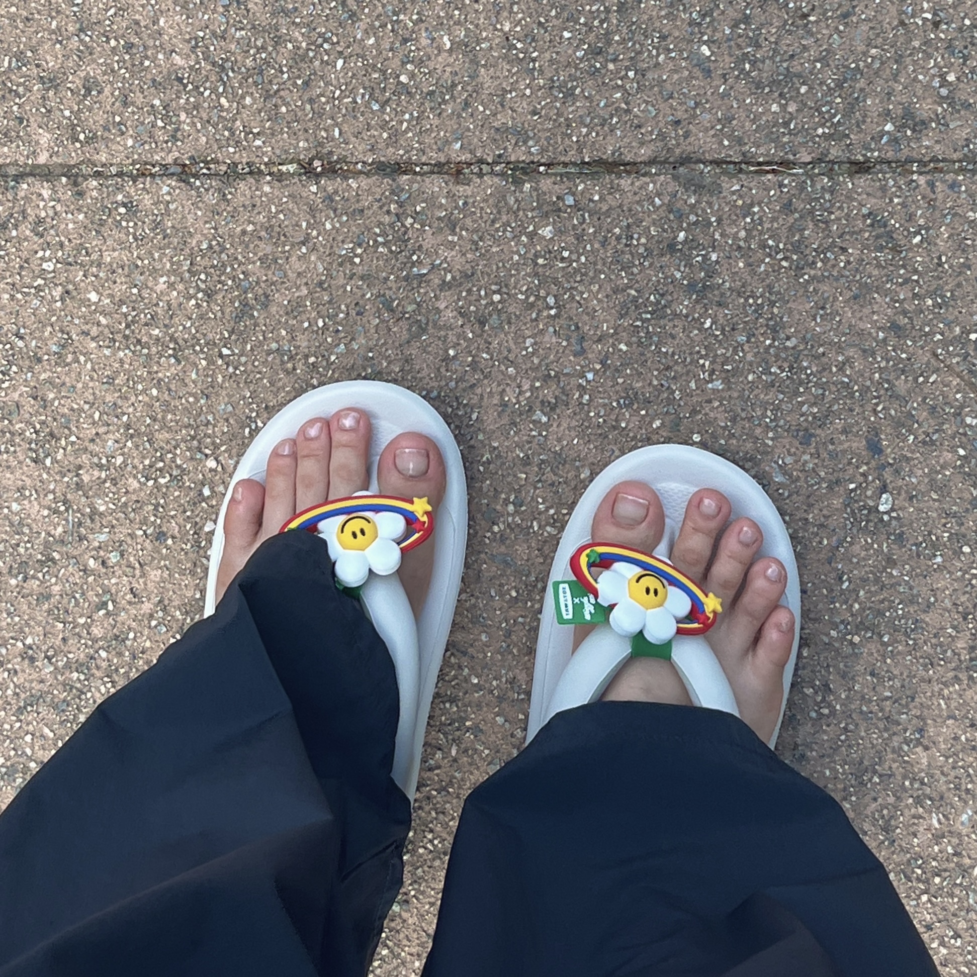 Taw&Toe x Wiggle Wiggle Flip Flop Zerovity Cream 착용 스타일