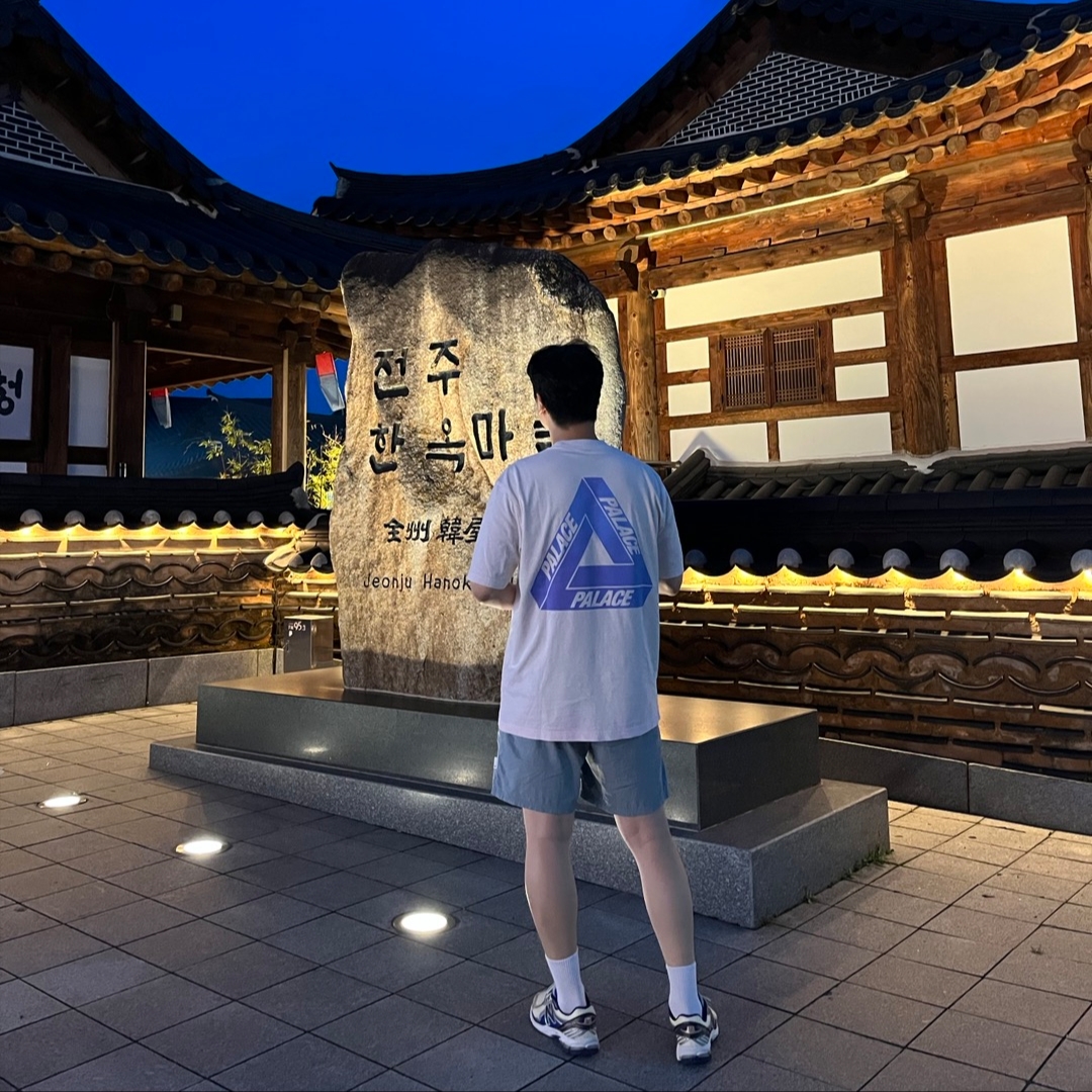 Palace Reacto Tri-Ferg T-Shirt Pink - 23SS, New Balance x Aime Leon Dore 860v2 Blue 착용 스타일