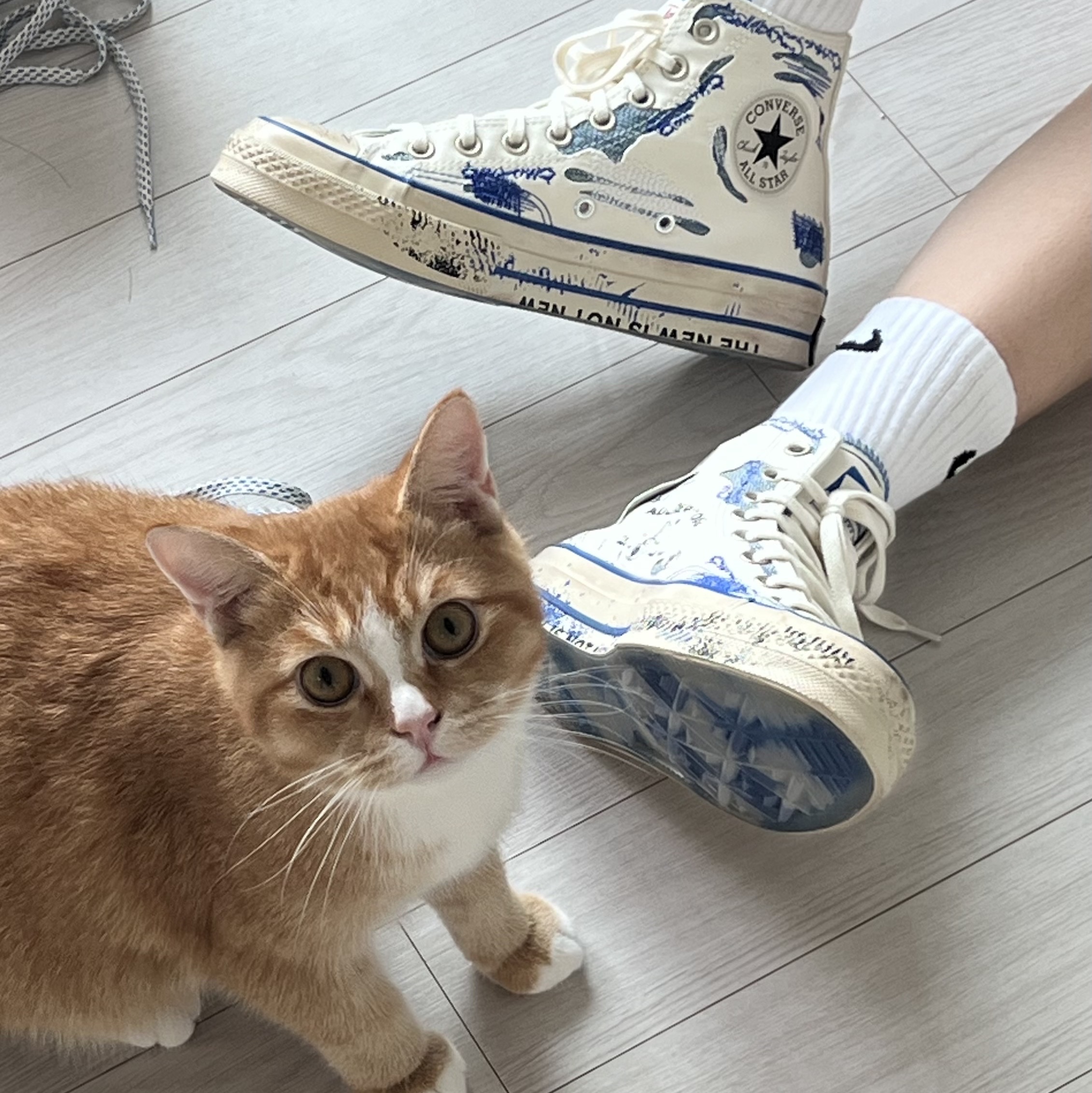 Converse x Ader Error Chuck 70 High White 착용 스타일