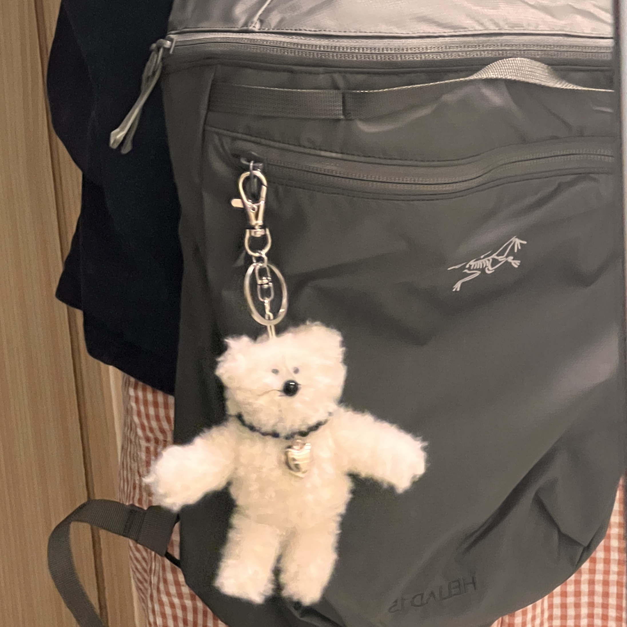 Arc'teryx Heliad 15 Backpack Forage 착용 스타일